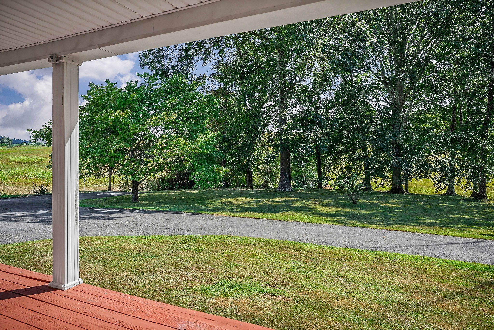 5036 Pendergrass Road Byrdstown, TN 38549 - Photo 35 of 38 a view of a yard with palm tree