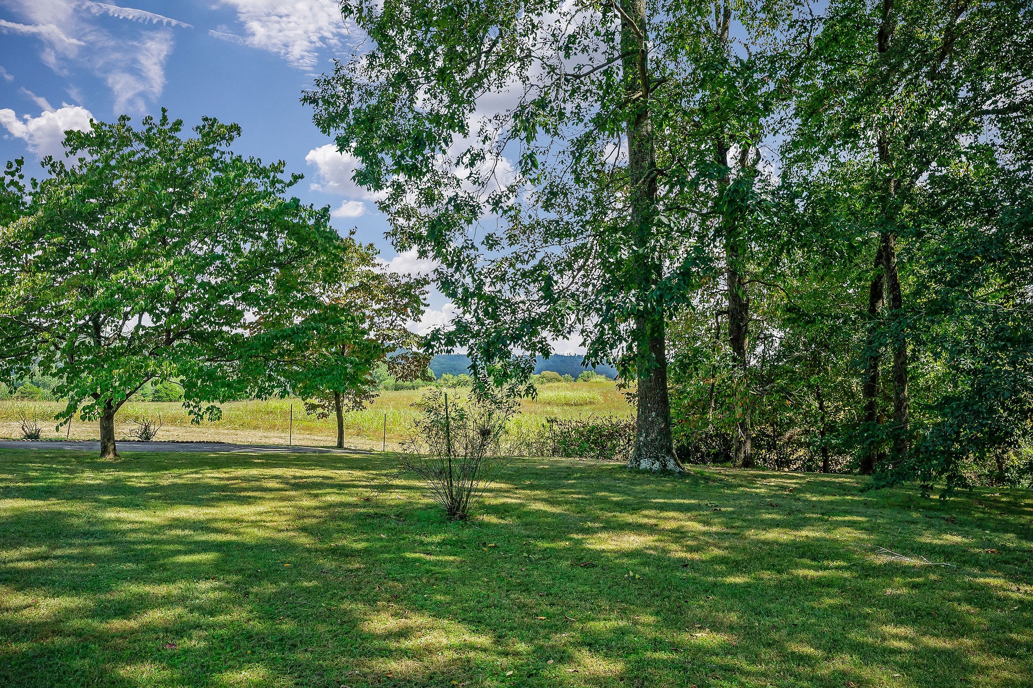 5036 Pendergrass Road Byrdstown, TN 38549 - Photo 36 of 38 a view of a ground with a trees