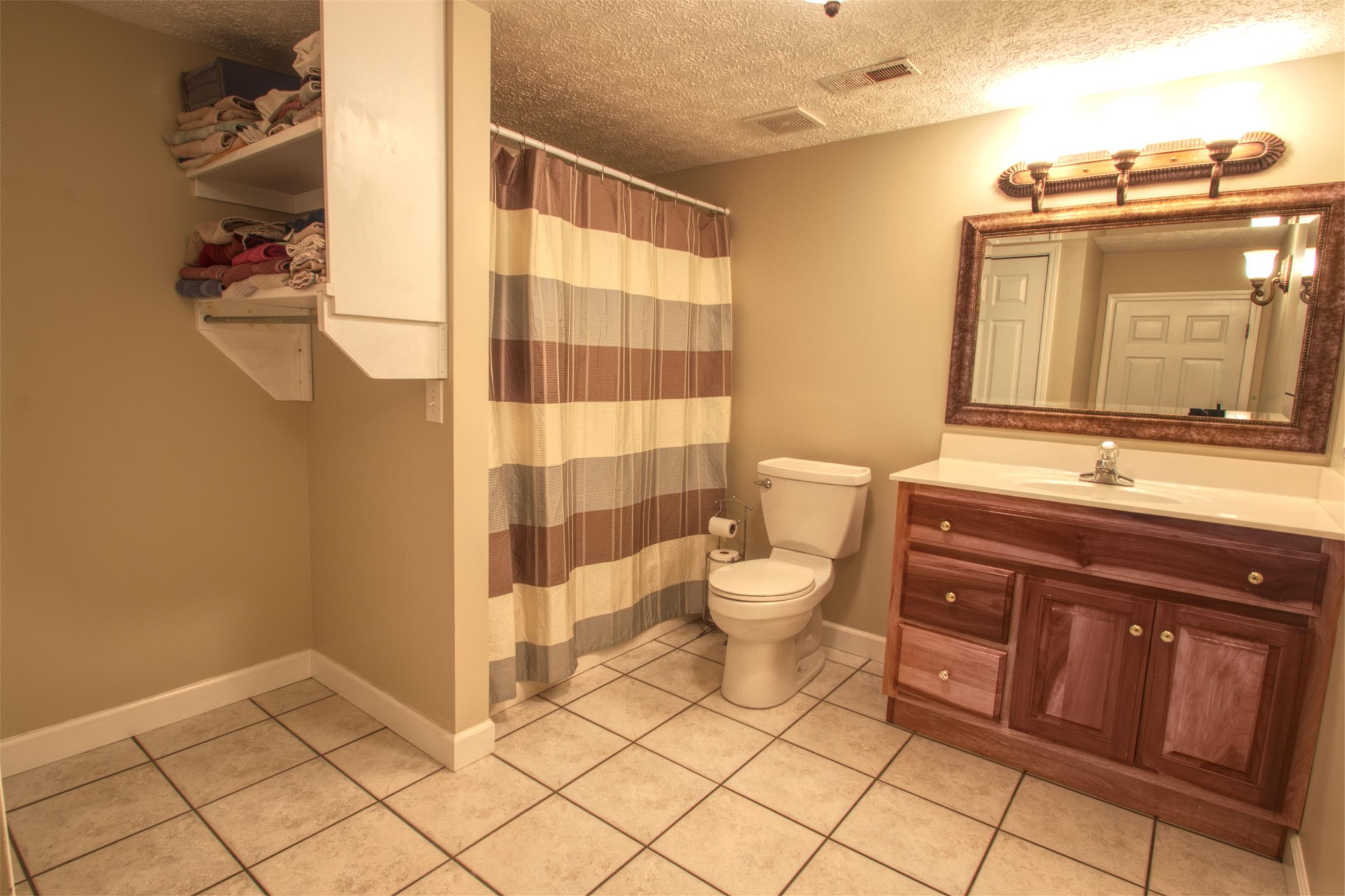 7177 Hall Road Greenbrier, TN 37073 - Photo 29 of 30 a bathroom with a sink a toilet and shower