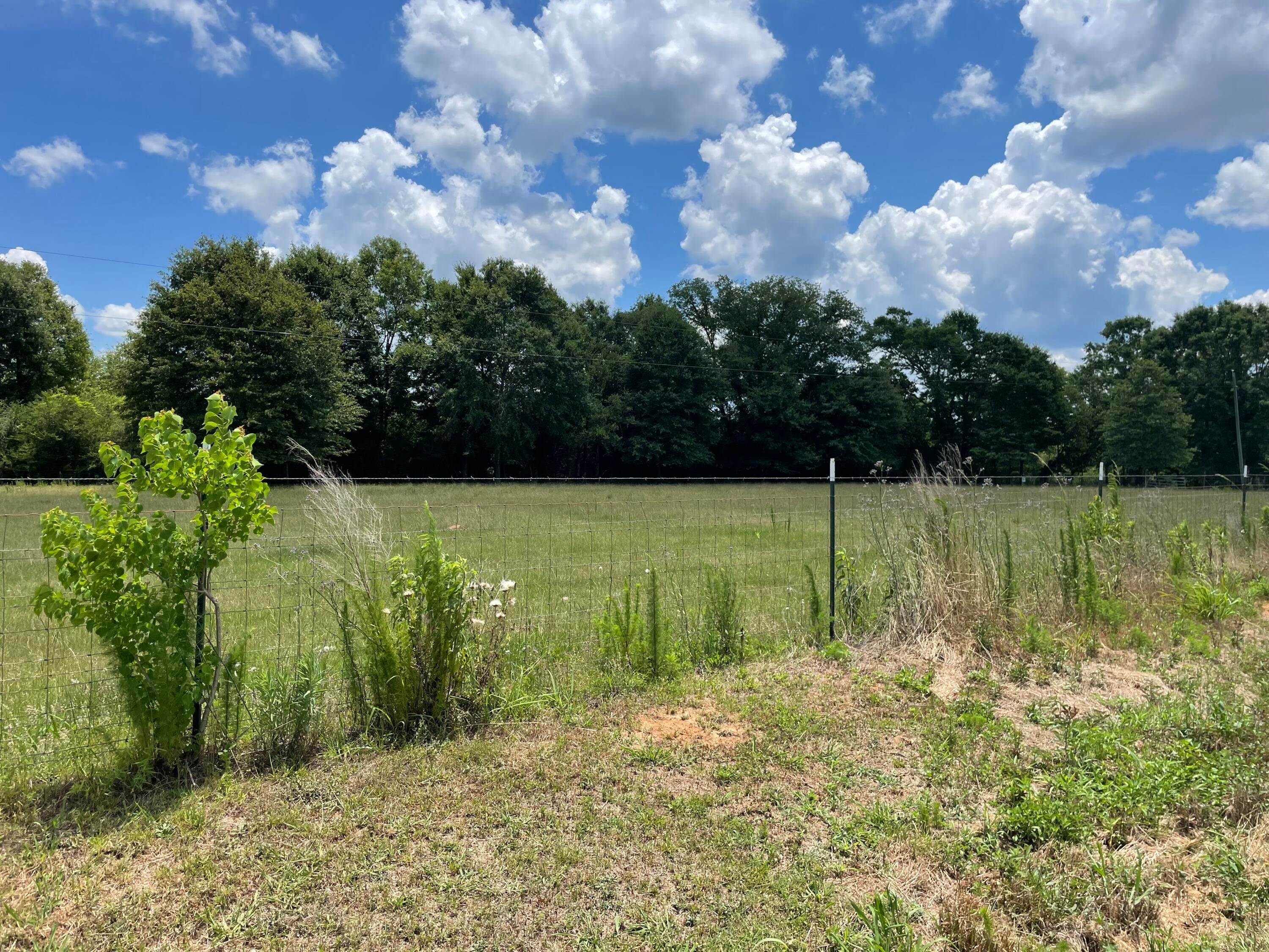 0 Carson-bunkerhill Carson, MS 39427 - Photo 1 of 1 Gallery Image 1