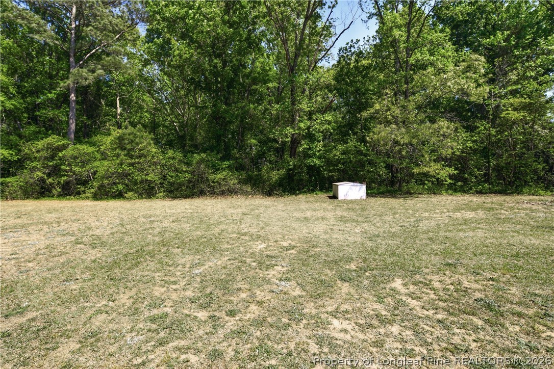 8264 Durant Nixon Road Linden, NC 28356 - Photo 45 of 49
