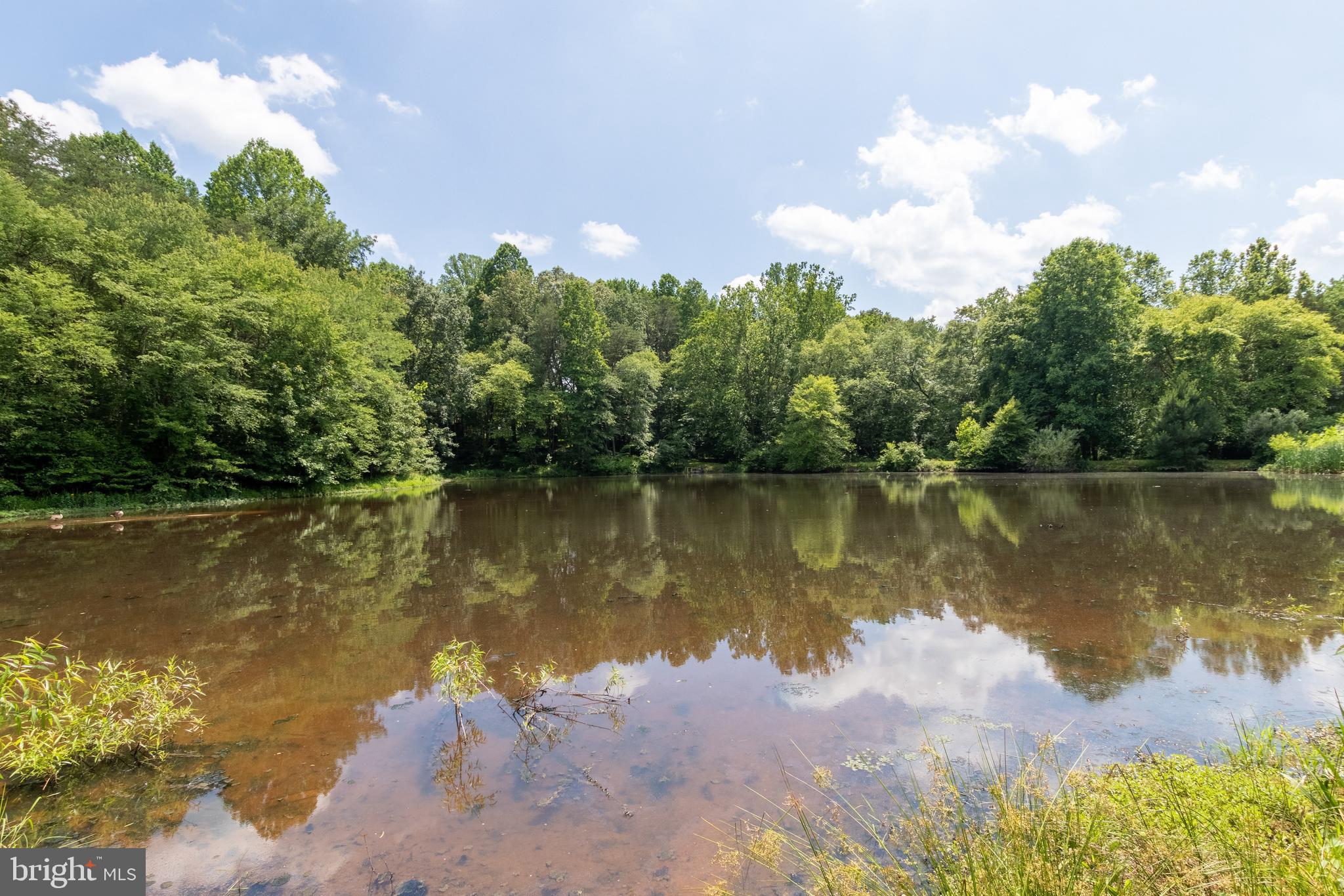7433 Clifton Road Clifton, VA 20124 - Photo 6 of 98 Gallery Image 6