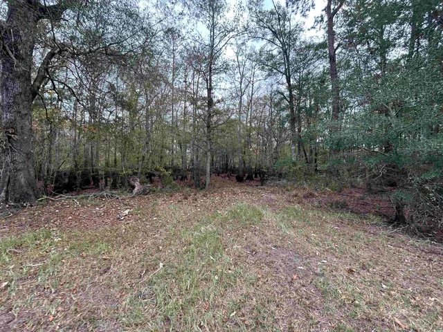 $1,250,000 | Tbd Channel View Loop, Mullins, SC 29574