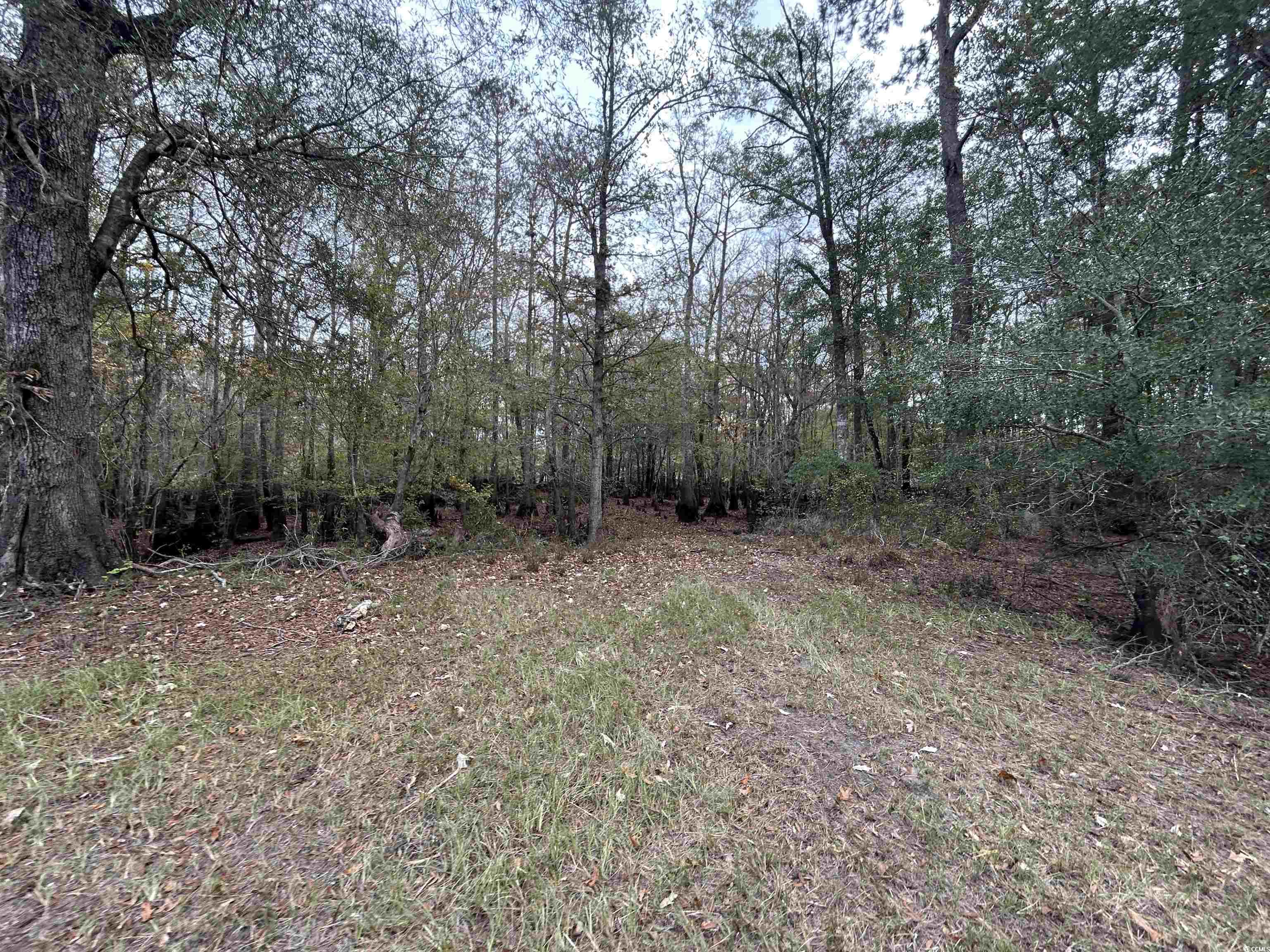 Tbd Channel View Loop Mullins, SC 29574 - Photo 13 of 20 View of landscape
