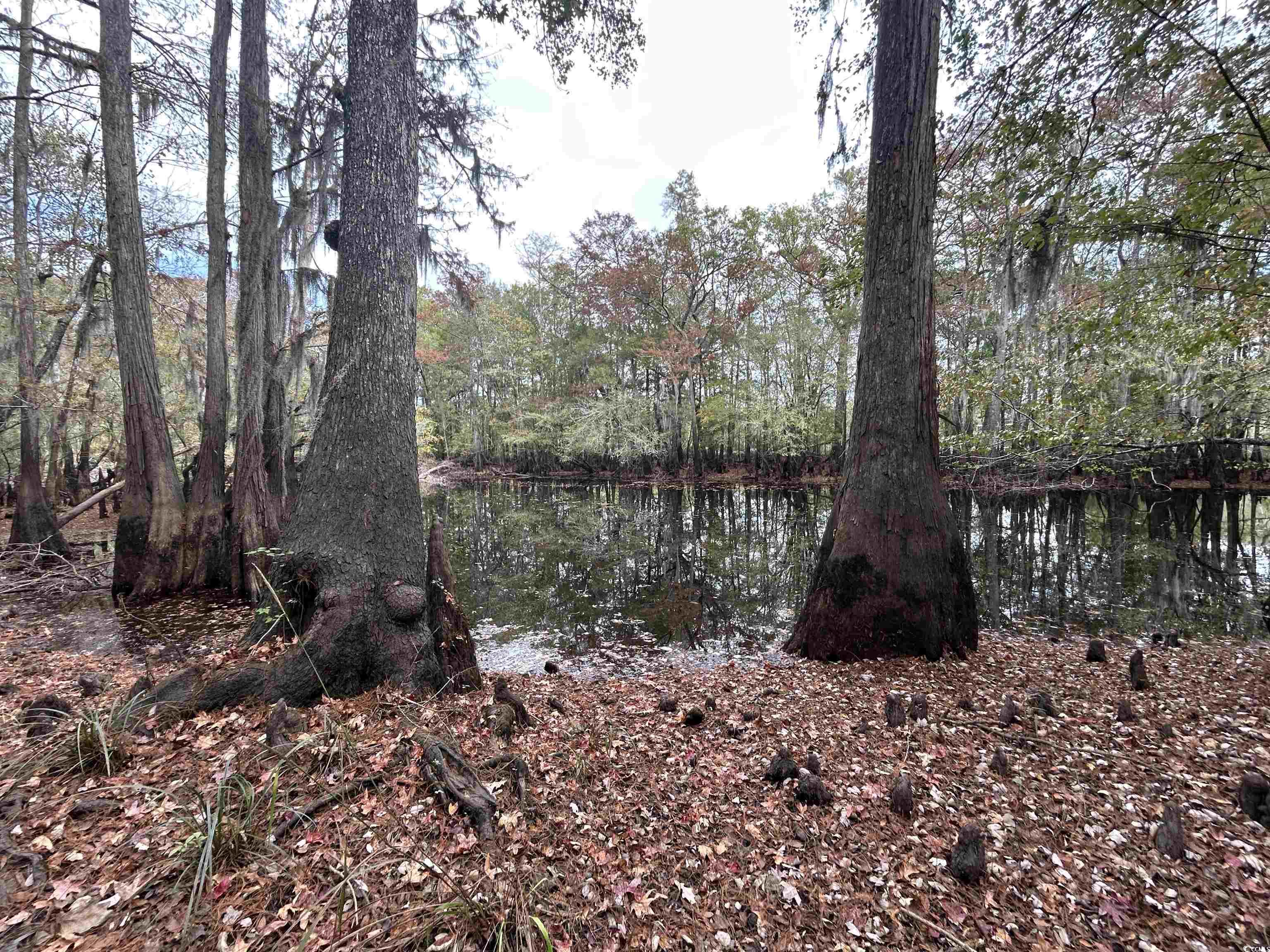 Tbd Channel View Loop Mullins, SC 29574 - Photo 14 of 20 View of landscape with a water view