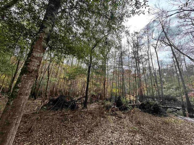 $1,250,000 | Tbd Channel View Loop, Mullins, SC 29574