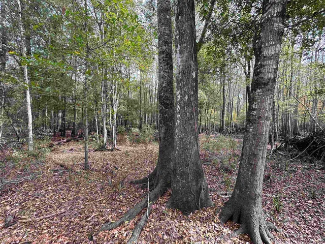 $1,250,000 | Tbd Channel View Loop, Mullins, SC 29574