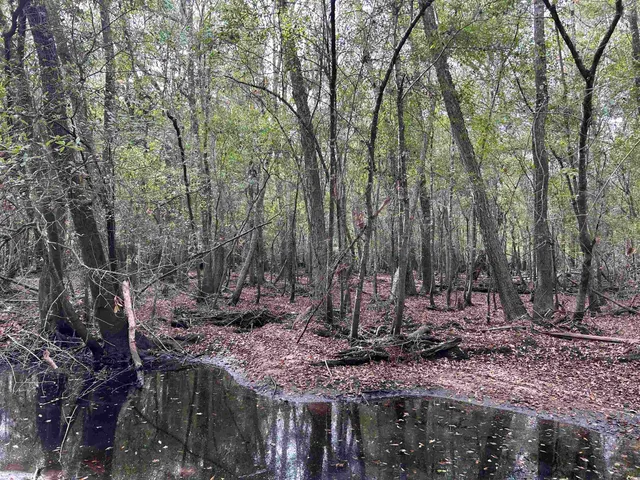 $1,250,000 | Tbd Channel View Loop, Mullins, SC 29574