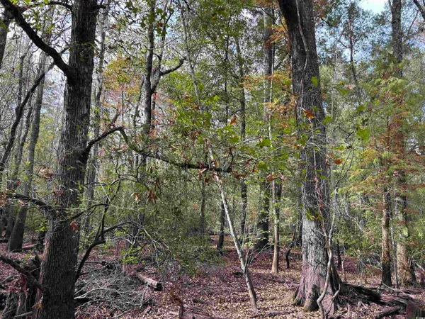 $1,250,000 | Tbd Channel View Loop, Mullins, SC 29574