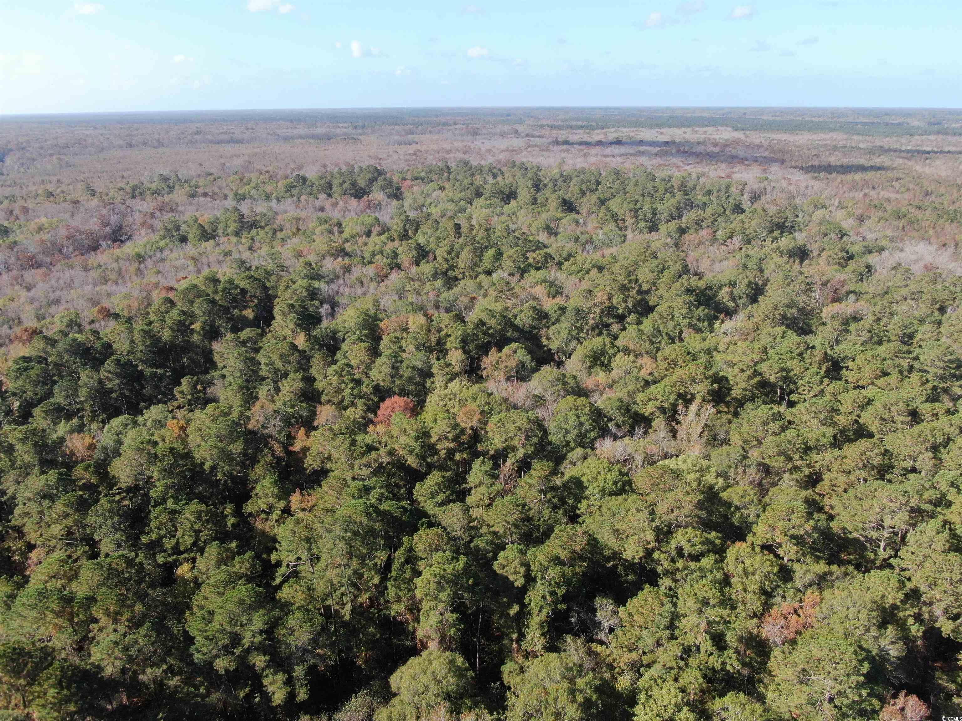Tbd Channel View Loop Mullins, SC 29574 - Photo 9 of 20 Birds eye view of property