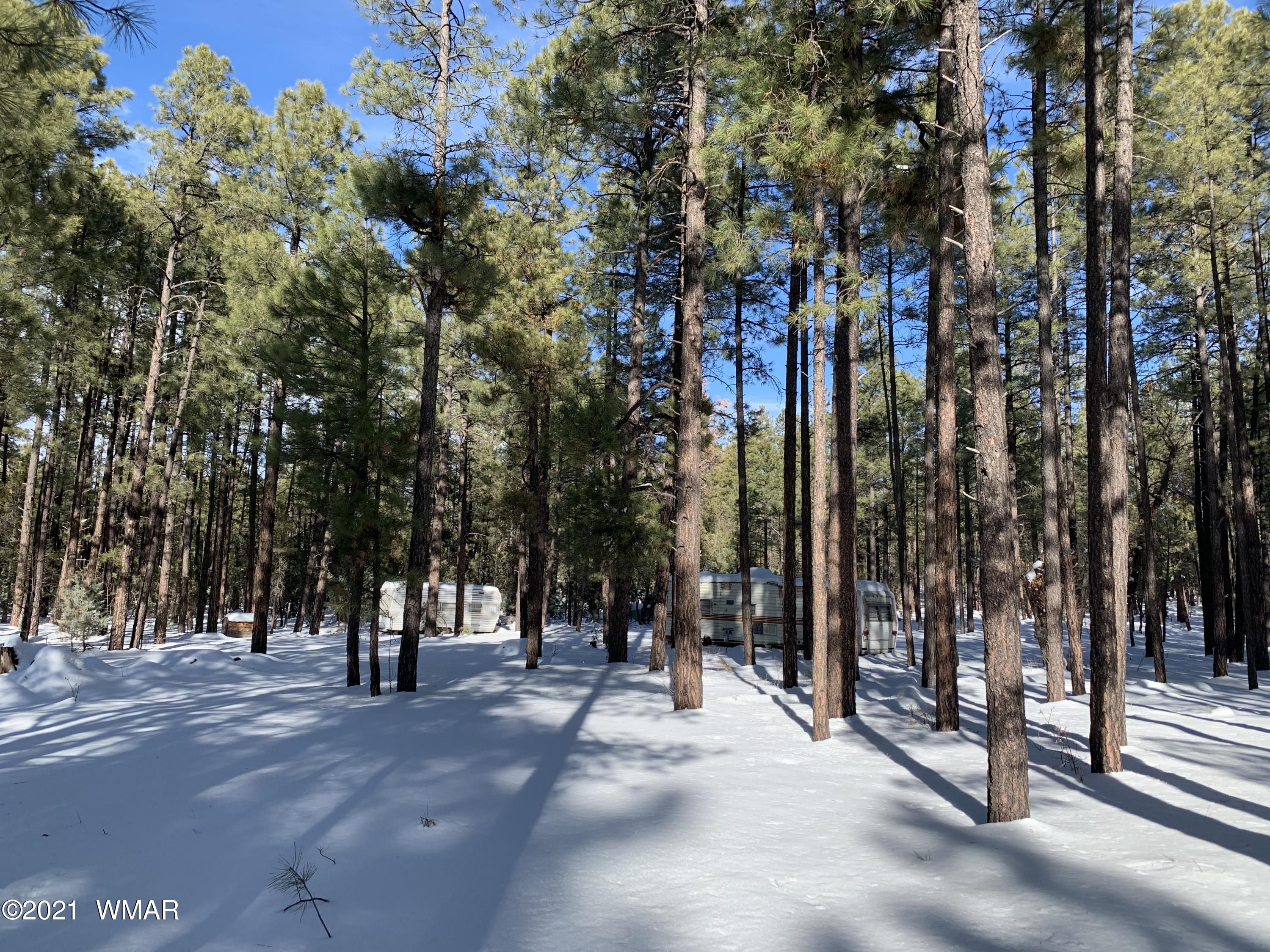 Tbd Tbd 212-45-026a Rim Spur Lakeside, AZ 85929 - Photo 1 of 16