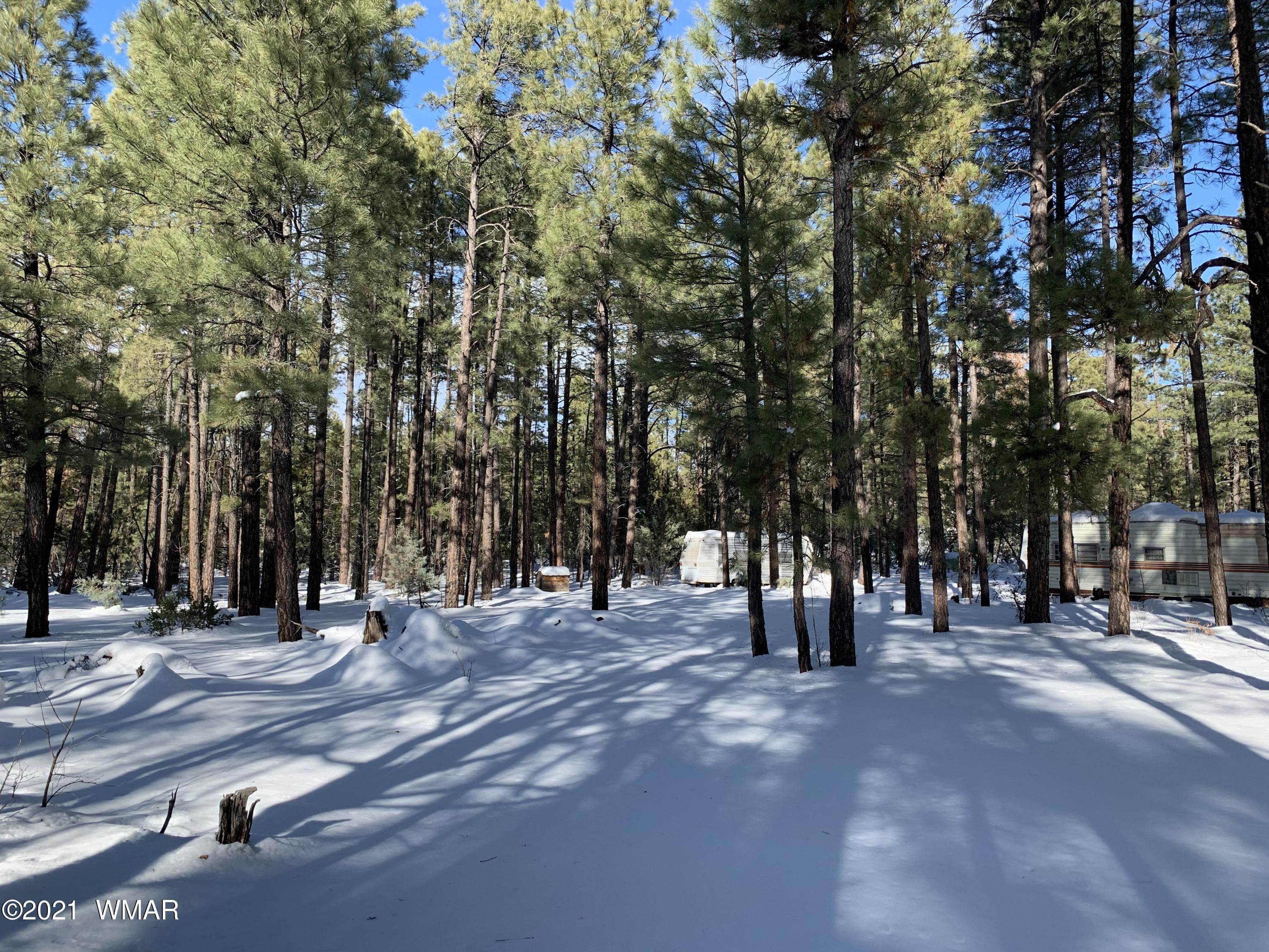 Tbd Tbd 212-45-026a Rim Spur Lakeside, AZ 85929 - Photo 11 of 16