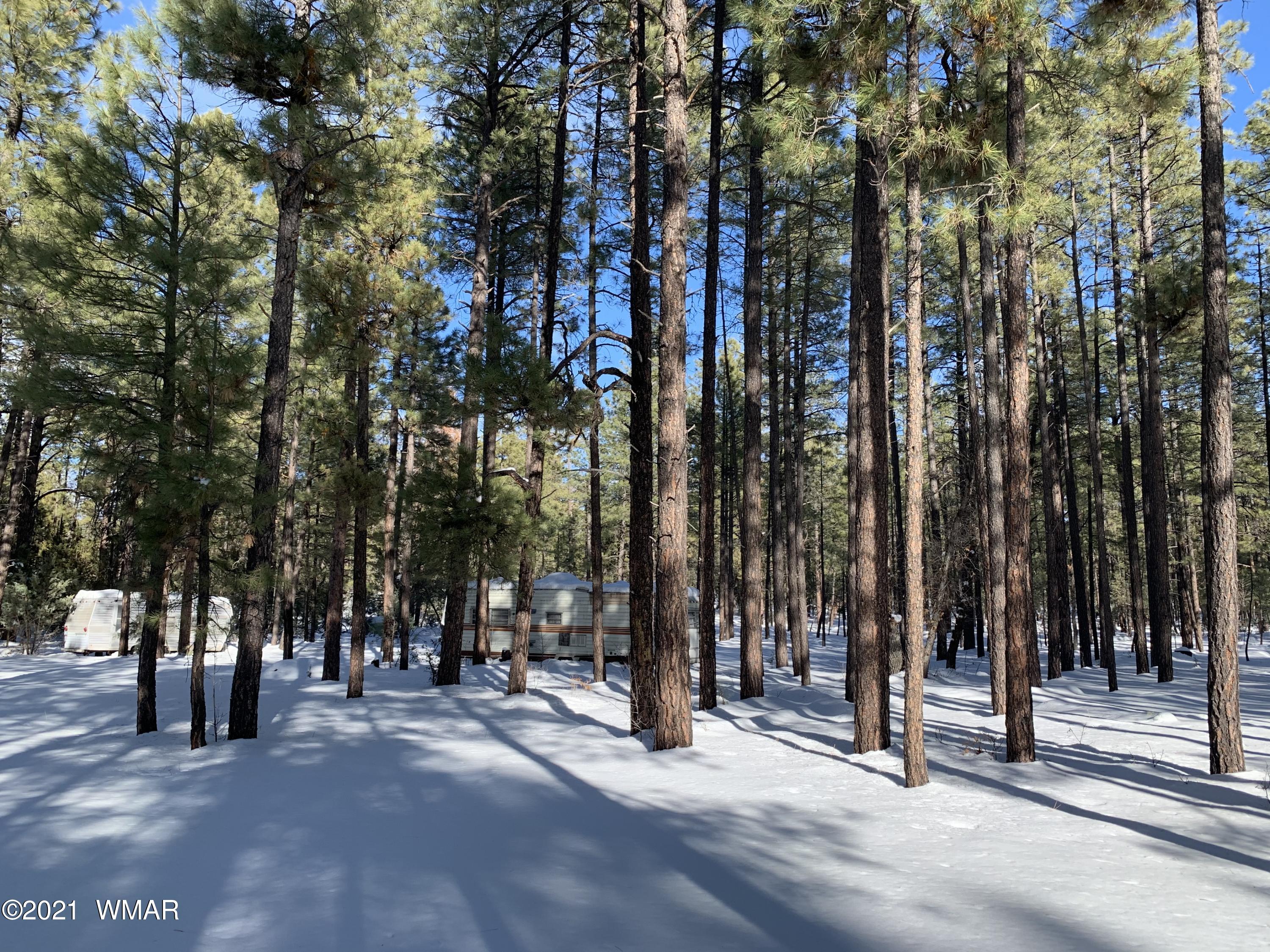 Tbd Tbd 212-45-026a Rim Spur Lakeside, AZ 85929 - Photo 12 of 16
