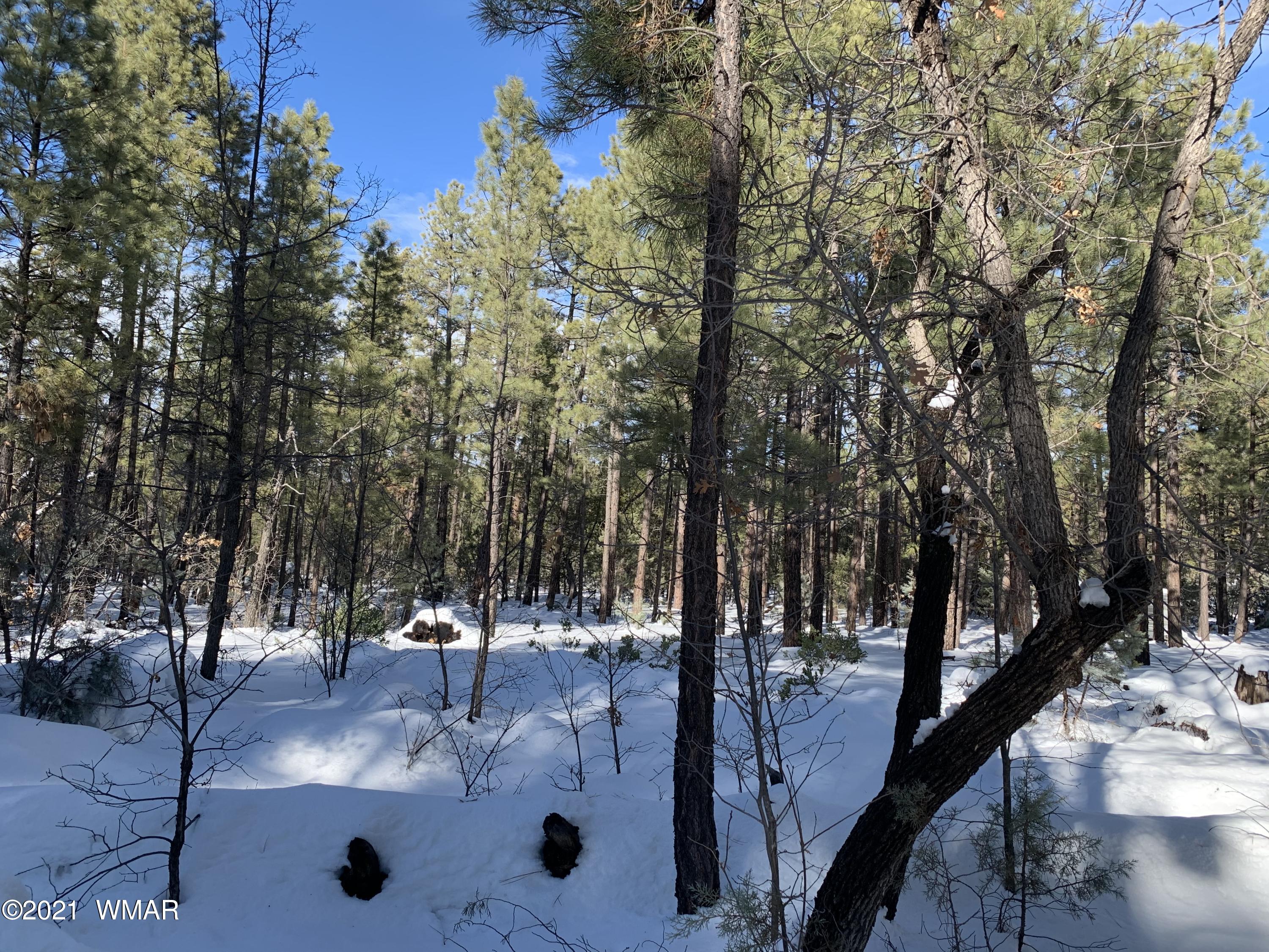 Tbd Tbd 212-45-026a Rim Spur Lakeside, AZ 85929 - Photo 13 of 16