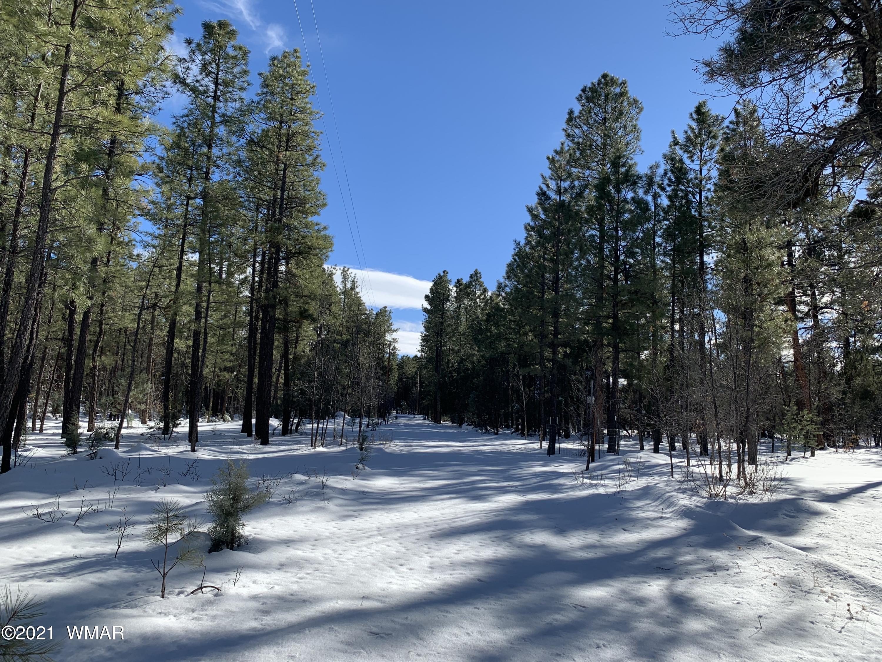 Tbd Tbd 212-45-026a Rim Spur Lakeside, AZ 85929 - Photo 14 of 16