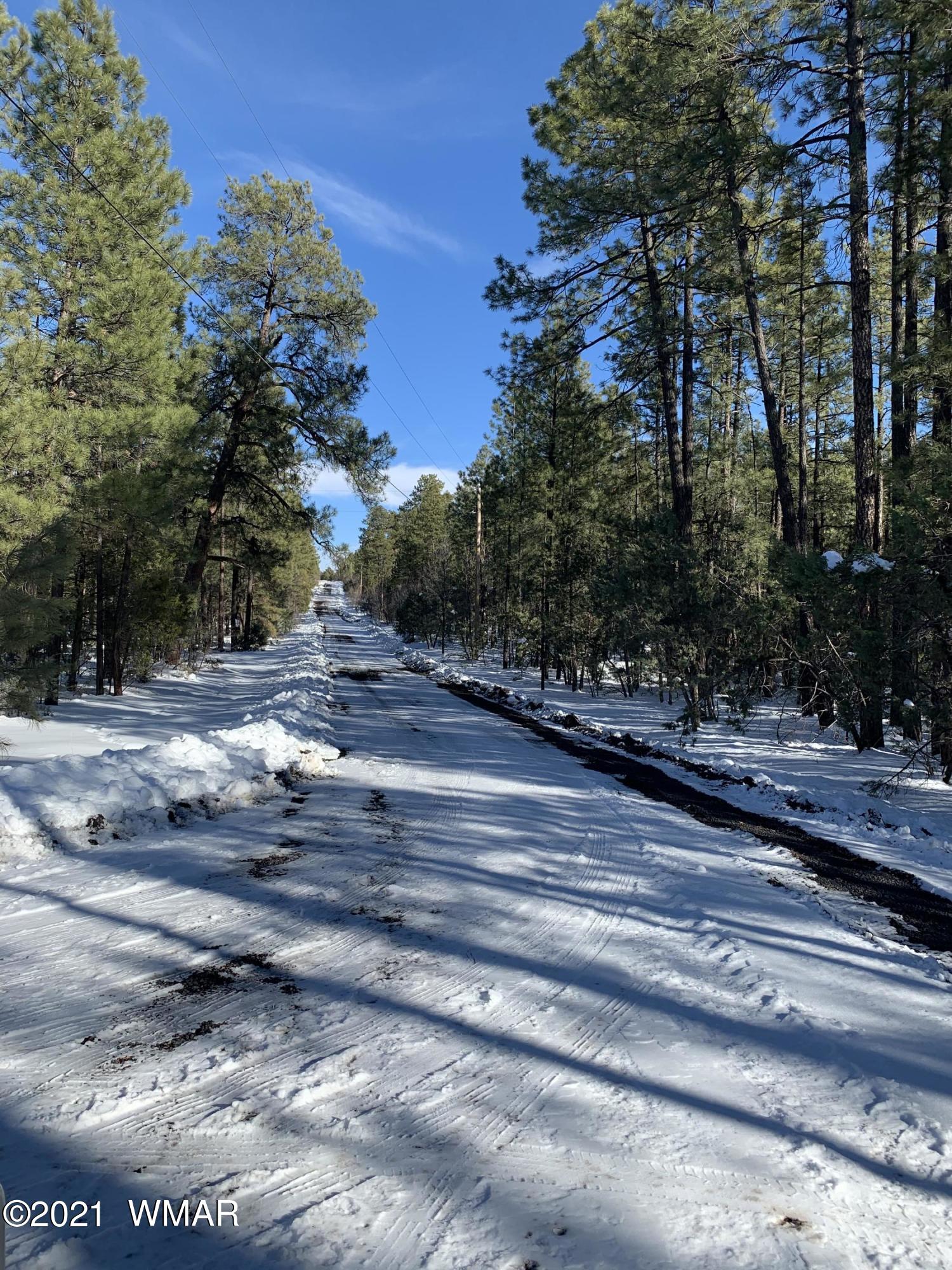 Tbd Tbd 212-45-026a Rim Spur Lakeside, AZ 85929 - Photo 15 of 16