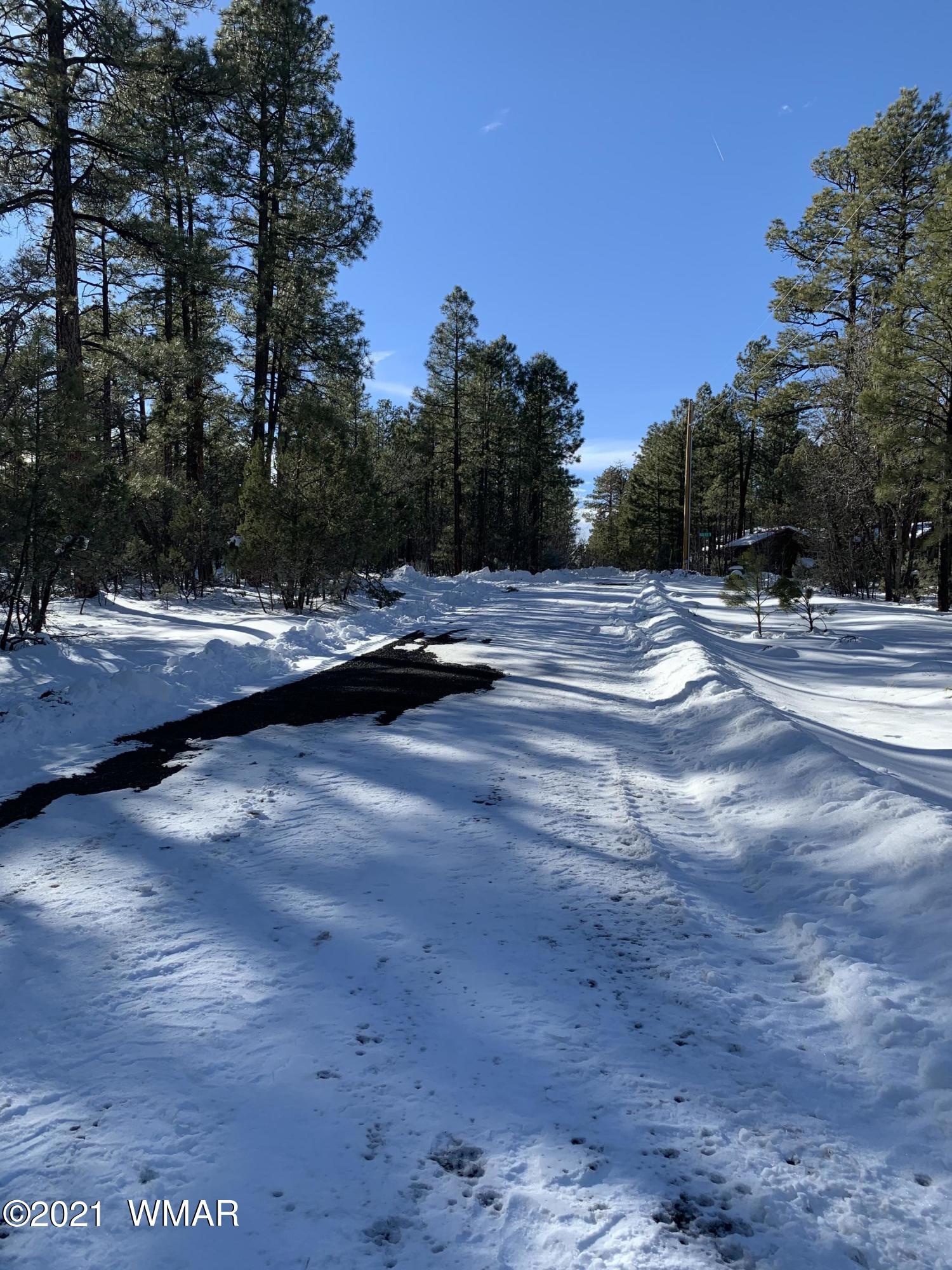 Tbd Tbd 212-45-026a Rim Spur Lakeside, AZ 85929 - Photo 16 of 16