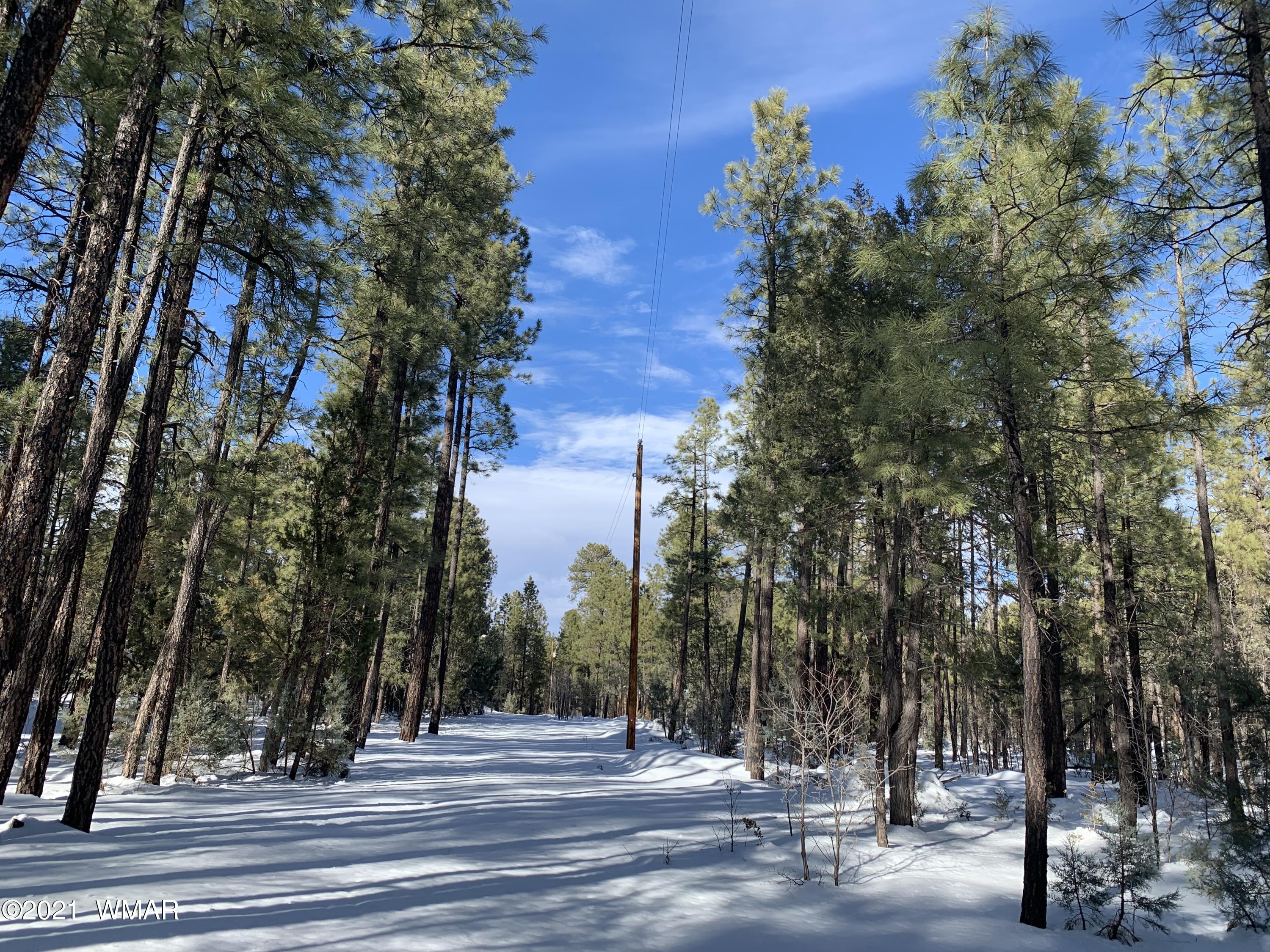 Tbd Tbd 212-45-026a Rim Spur Lakeside, AZ 85929 - Photo 3 of 16