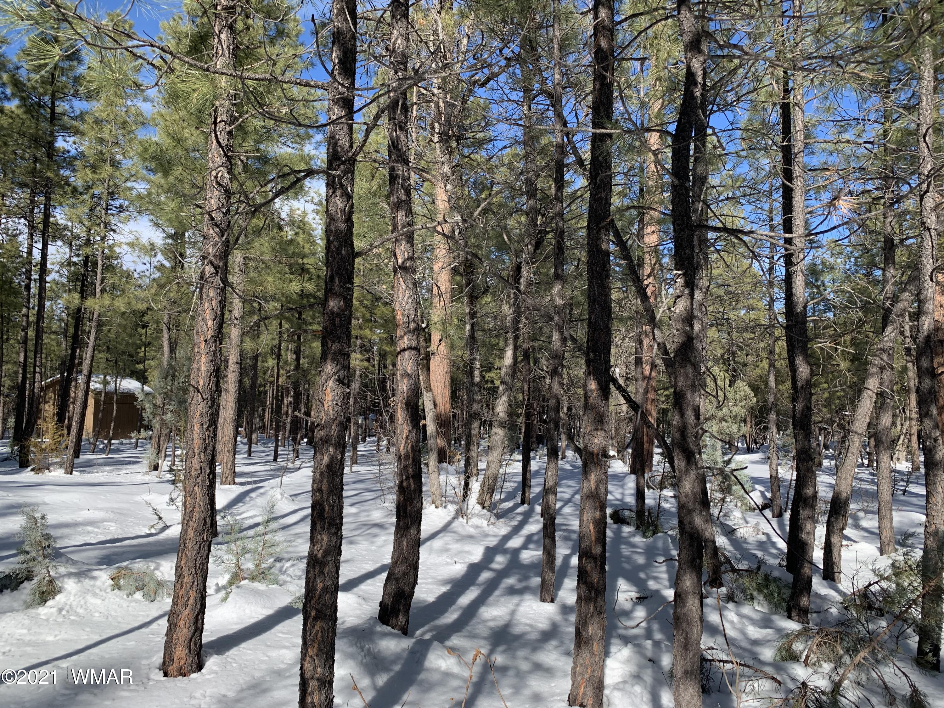 Tbd Tbd 212-45-026a Rim Spur Lakeside, AZ 85929 - Photo 4 of 16