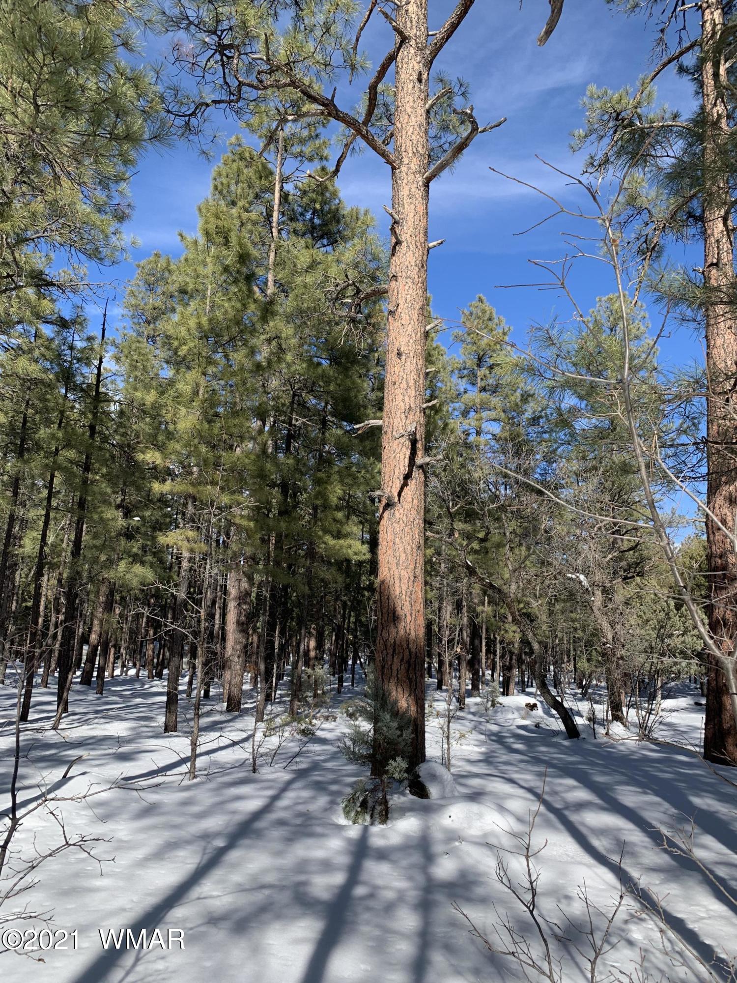 Tbd Tbd 212-45-026a Rim Spur Lakeside, AZ 85929 - Photo 6 of 16
