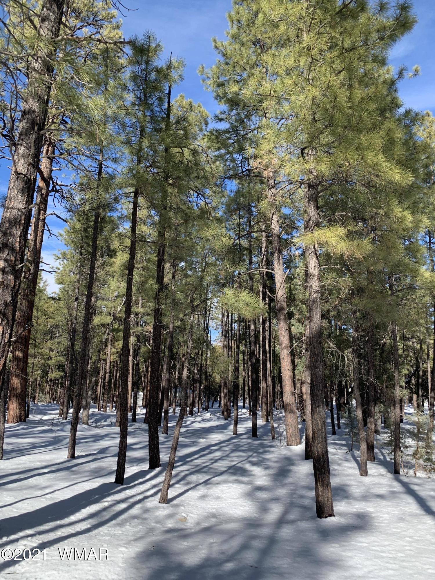 Tbd Tbd 212-45-026a Rim Spur Lakeside, AZ 85929 - Photo 7 of 16