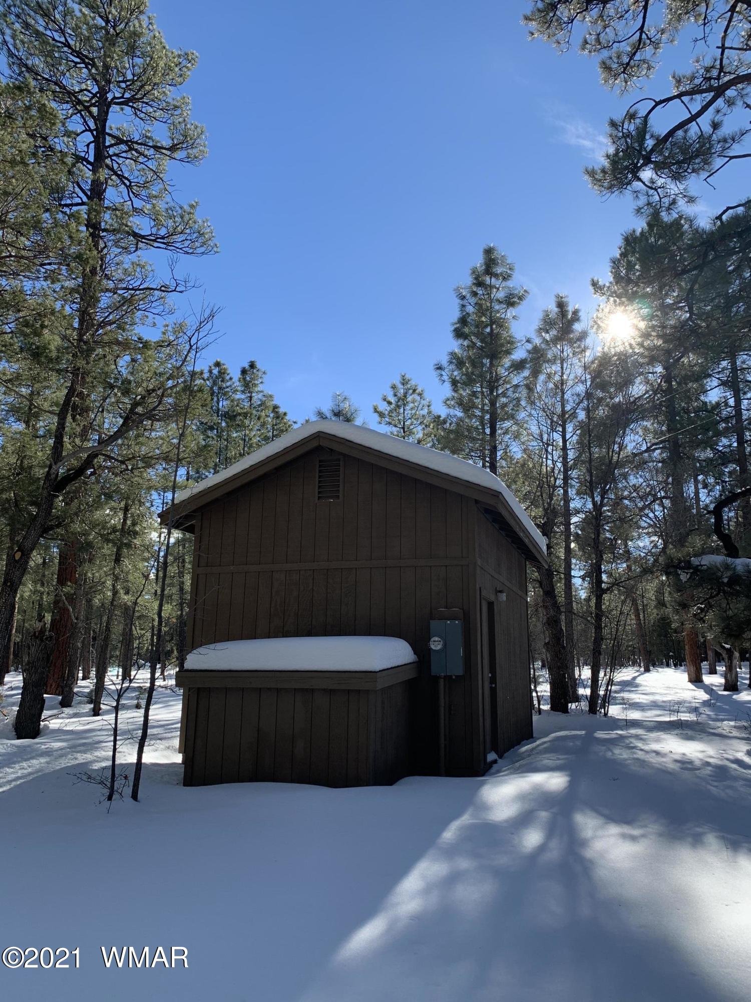Tbd Tbd 212-45-026a Rim Spur Lakeside, AZ 85929 - Photo 10 of 16