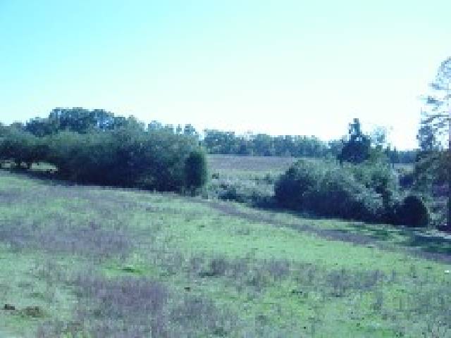 0 River Forks Road Anderson, SC 29626 - Photo 3 of 7