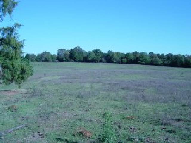 0 River Forks Road Anderson, SC 29626 - Photo 6 of 7