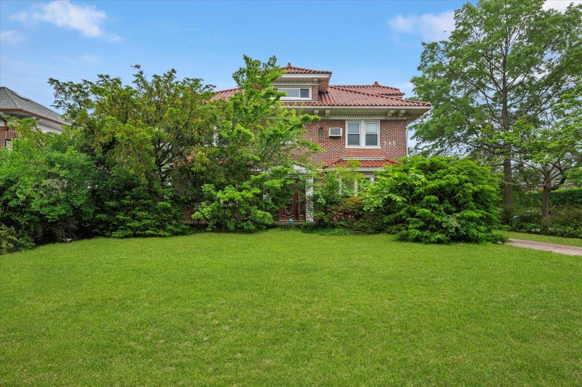 a view of a large garden with plants and large trees