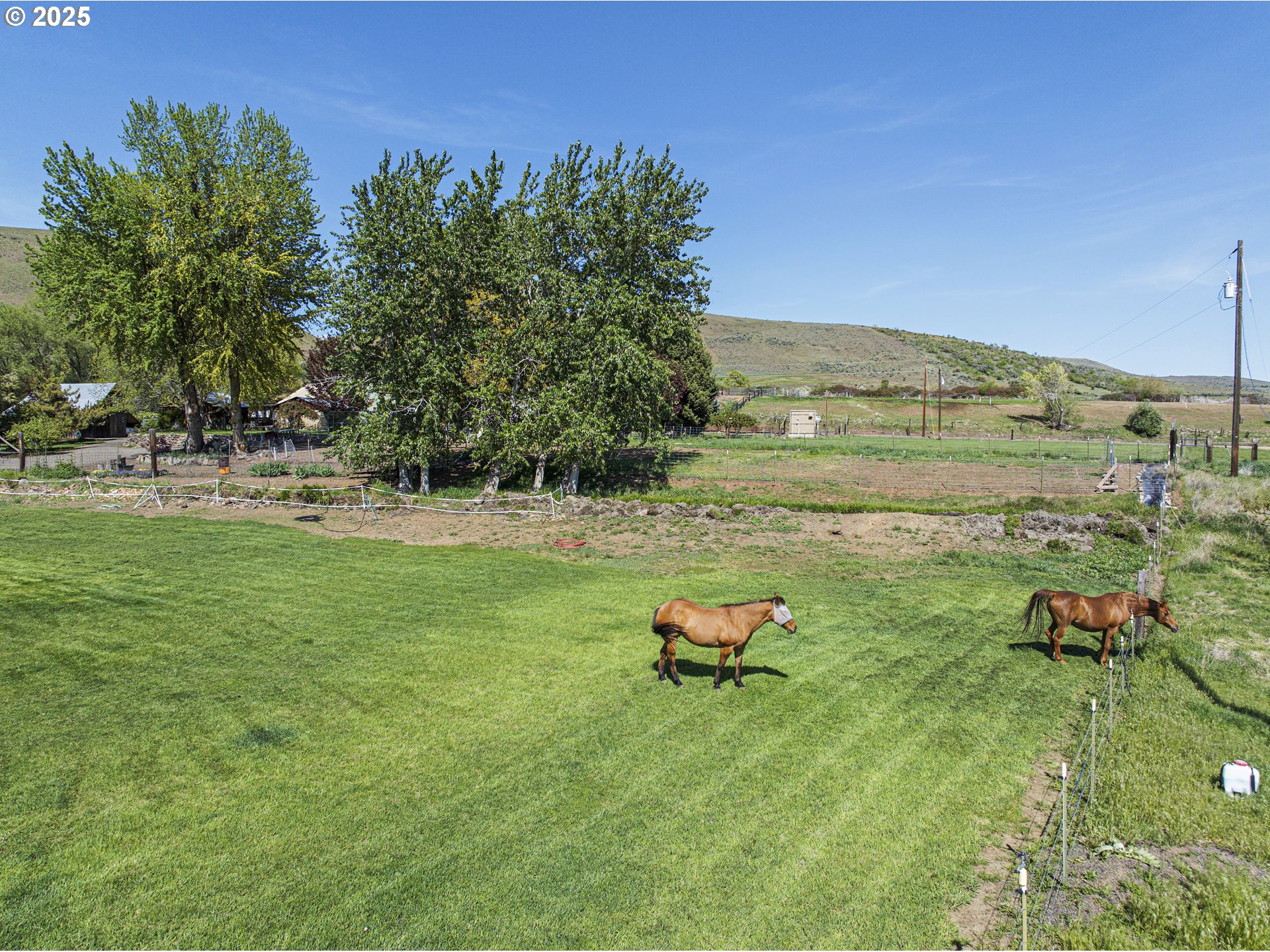 43186 New Bridge Road Richland, OR 97870 - Photo 31 of 36