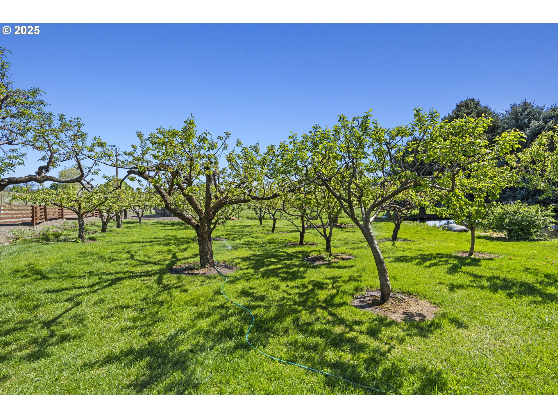 43186 New Bridge Road Richland, OR 97870 - Photo 34 of 36