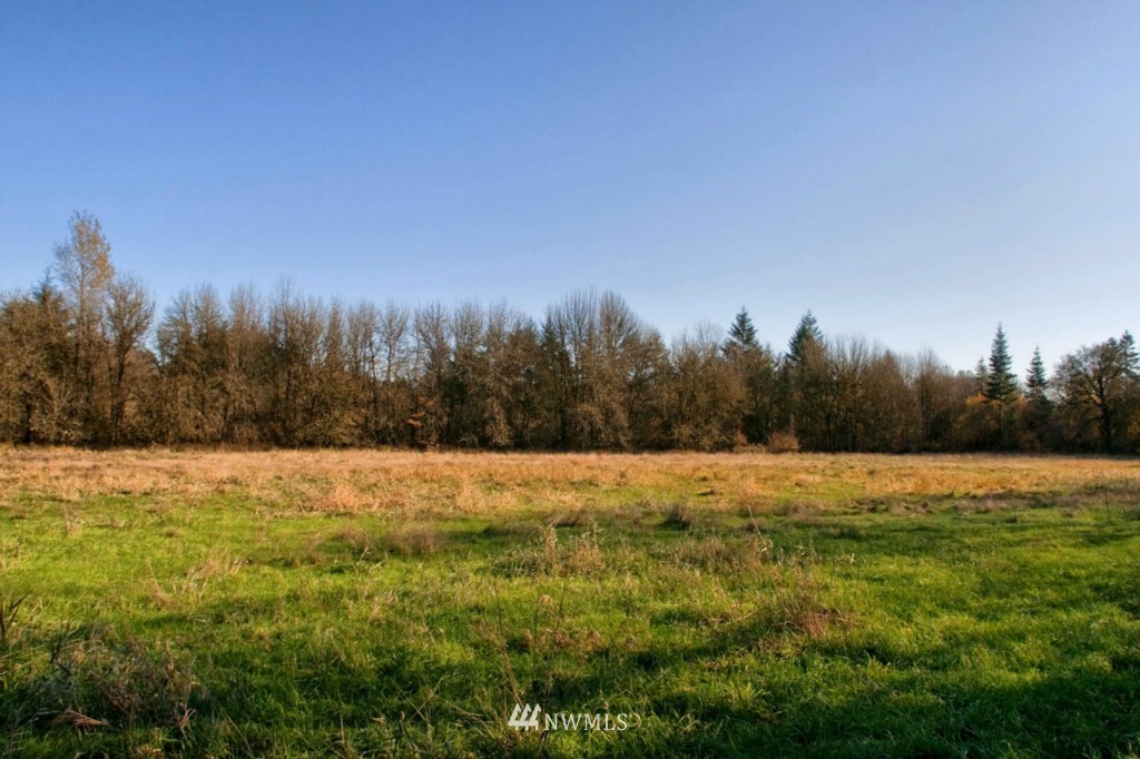 12717 Hunter Road Southwest Rochester, WA 98579 - Photo 11 of 19