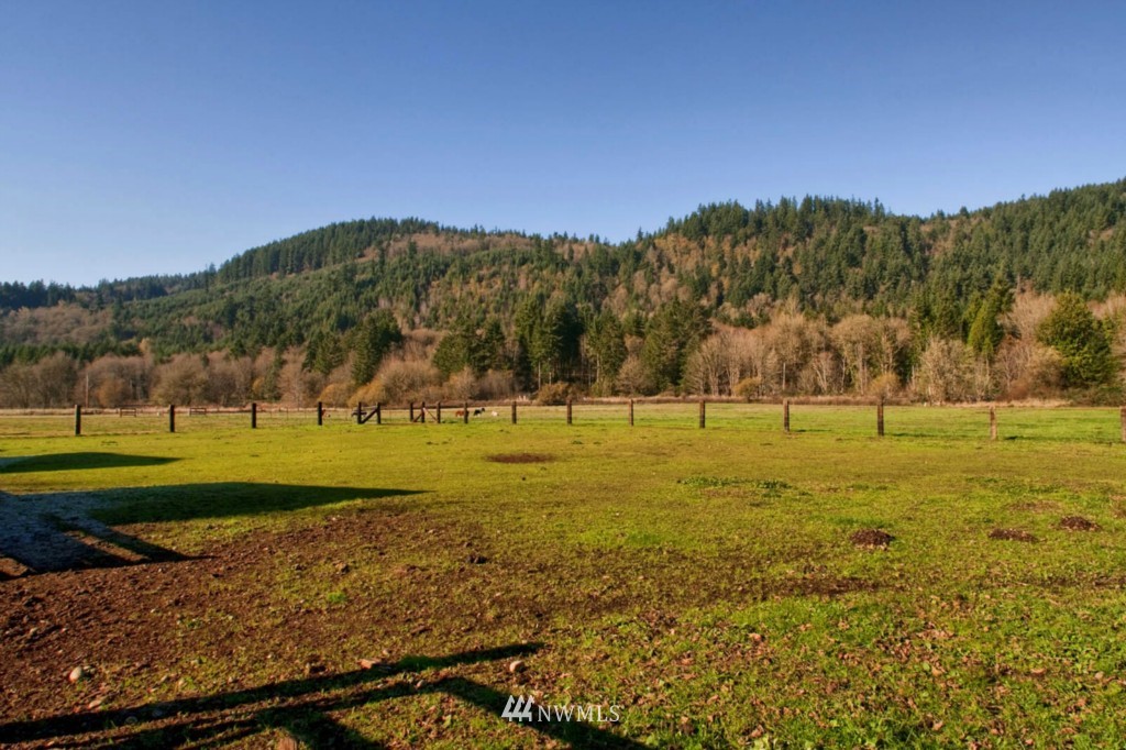 12717 Hunter Road Southwest Rochester, WA 98579 - Photo 12 of 19