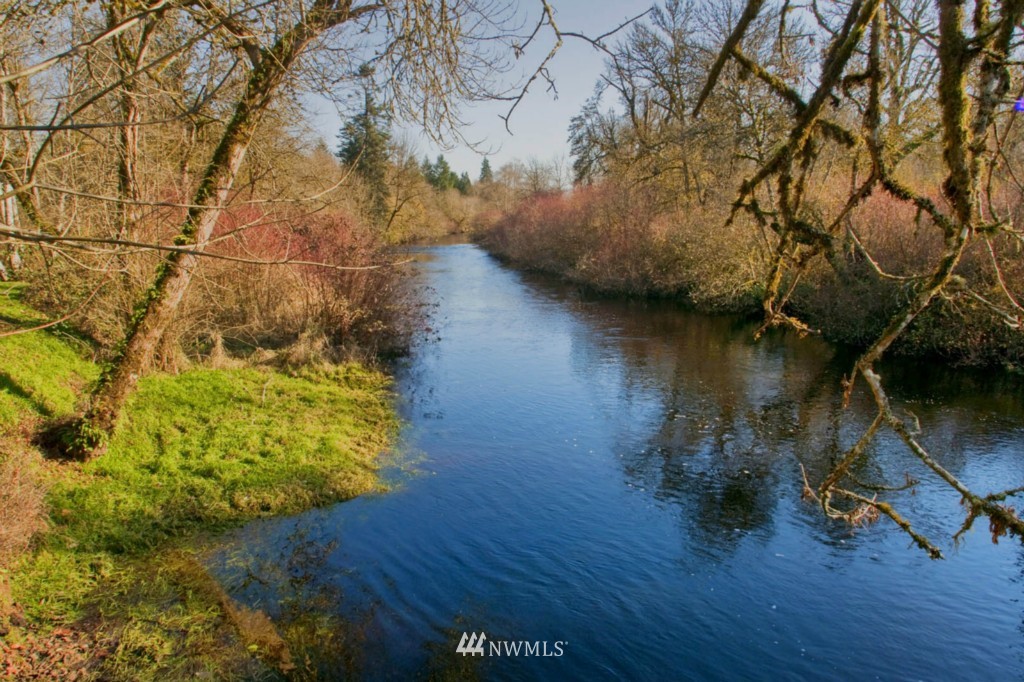 12717 Hunter Road Southwest Rochester, WA 98579 - Photo 15 of 19