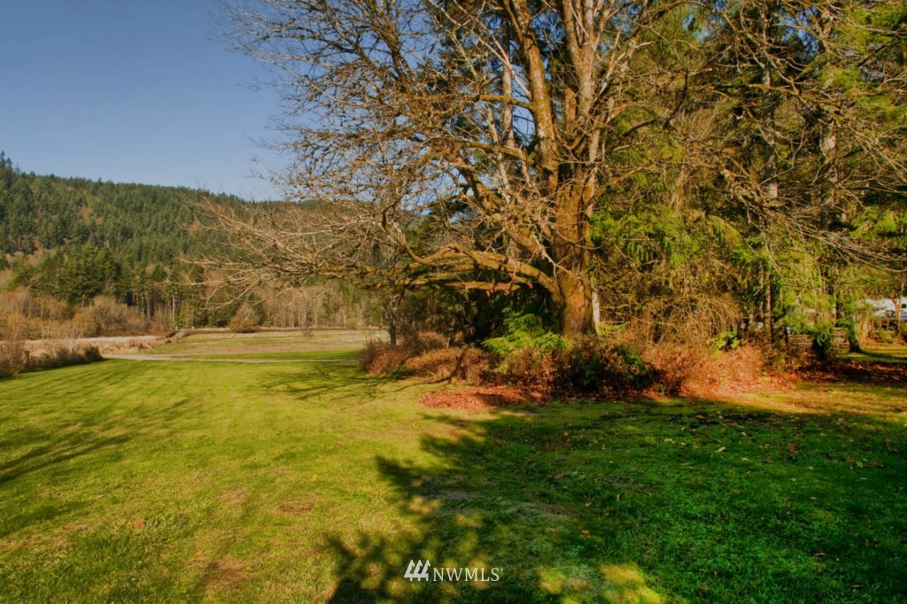 12717 Hunter Road Southwest Rochester, WA 98579 - Photo 17 of 19