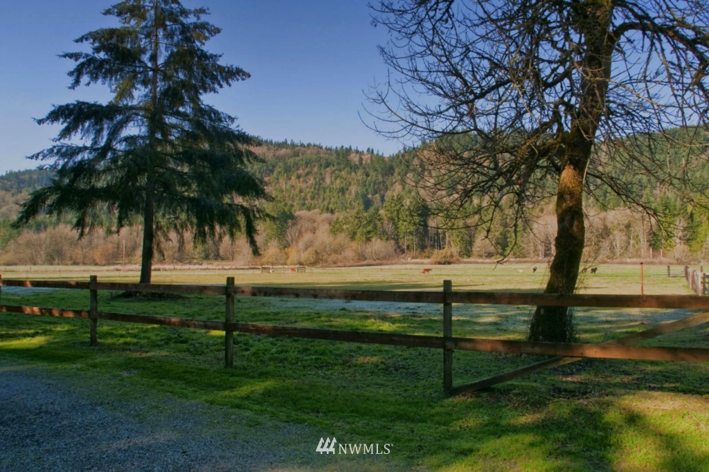 12717 Hunter Road Southwest Rochester, WA 98579 - Photo 10 of 19