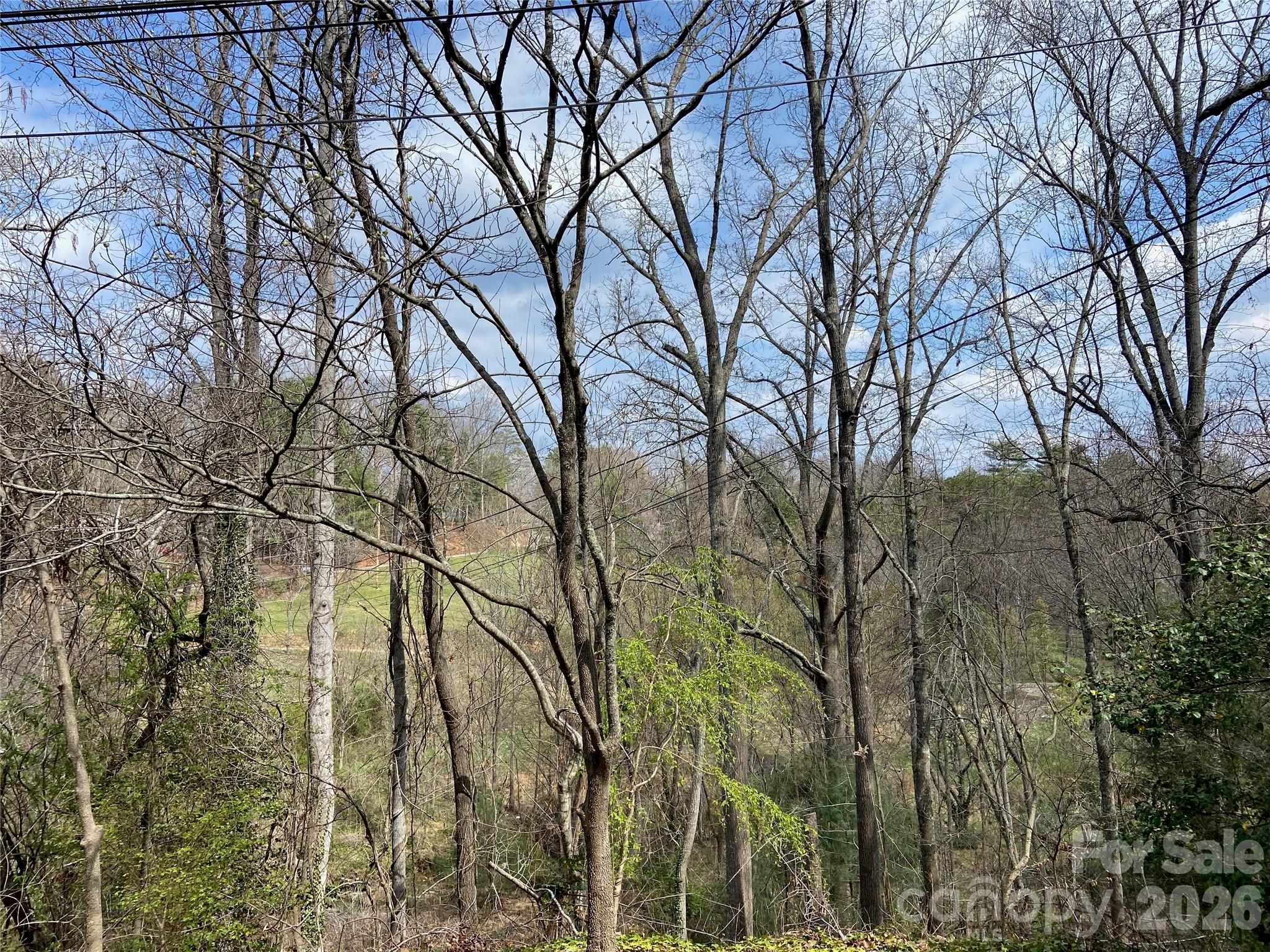 23 Old Farm School Road Asheville, NC 28805 - Photo 11 of 28