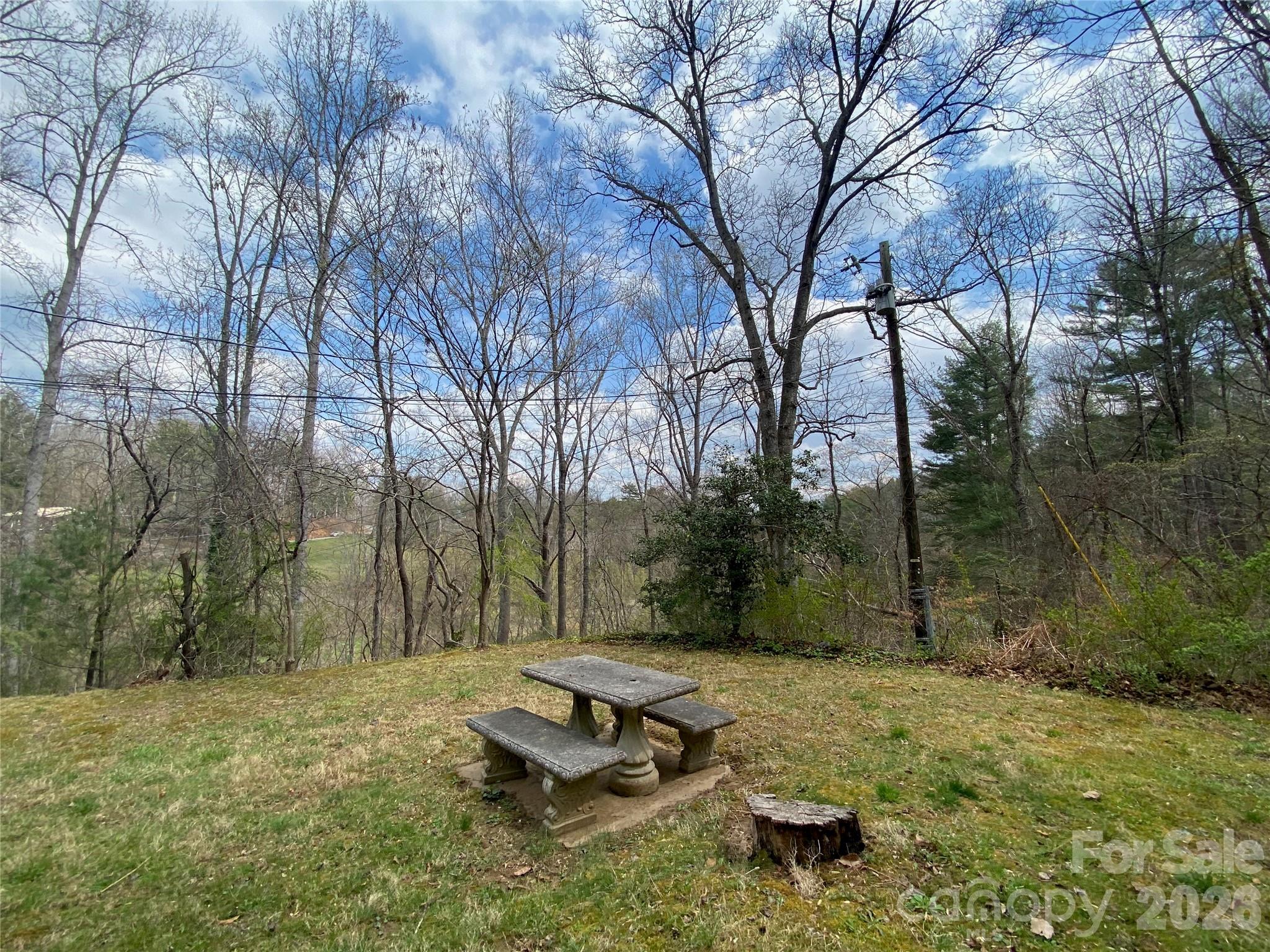 23 Old Farm School Road Asheville, NC 28805 - Photo 12 of 28