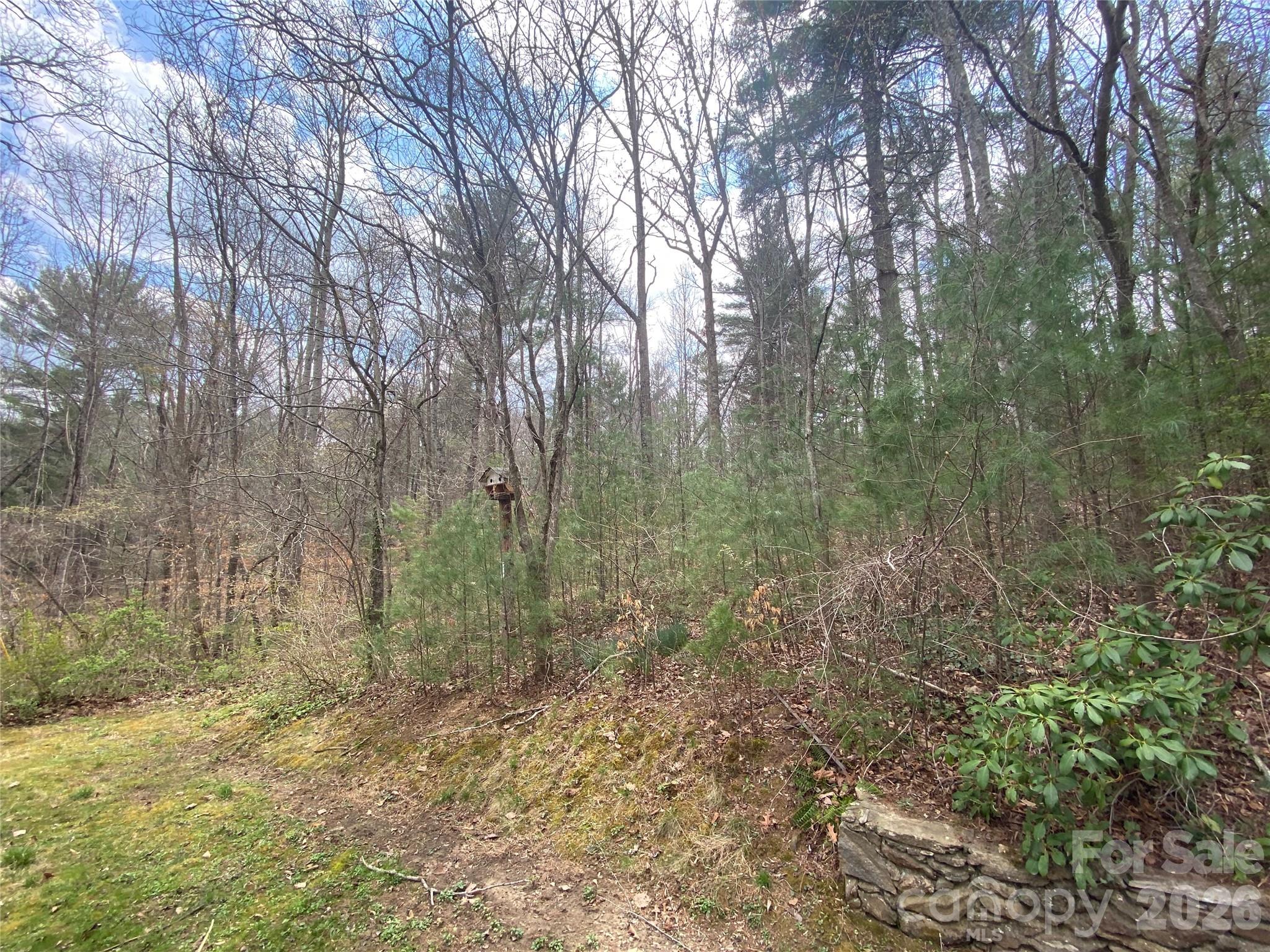 23 Old Farm School Road Asheville, NC 28805 - Photo 7 of 28