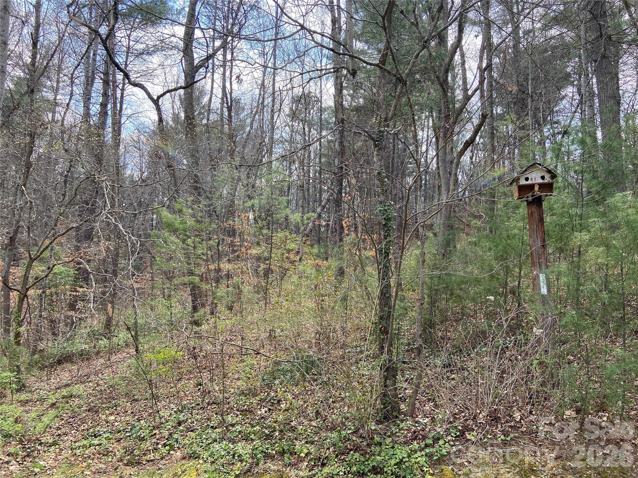 23 Old Farm School Road Asheville, NC 28805 - Photo 8 of 28