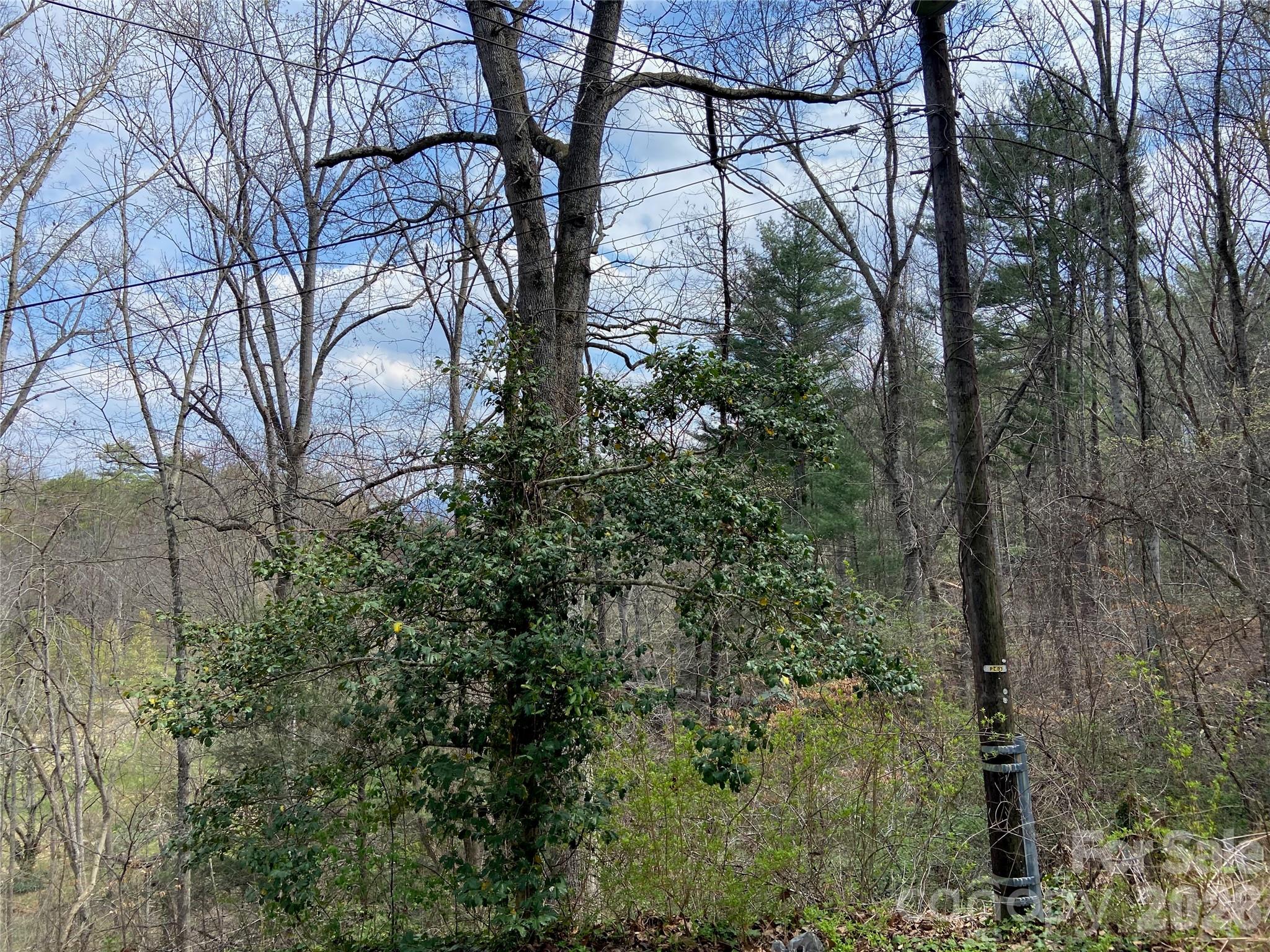 23 Old Farm School Road Asheville, NC 28805 - Photo 9 of 28