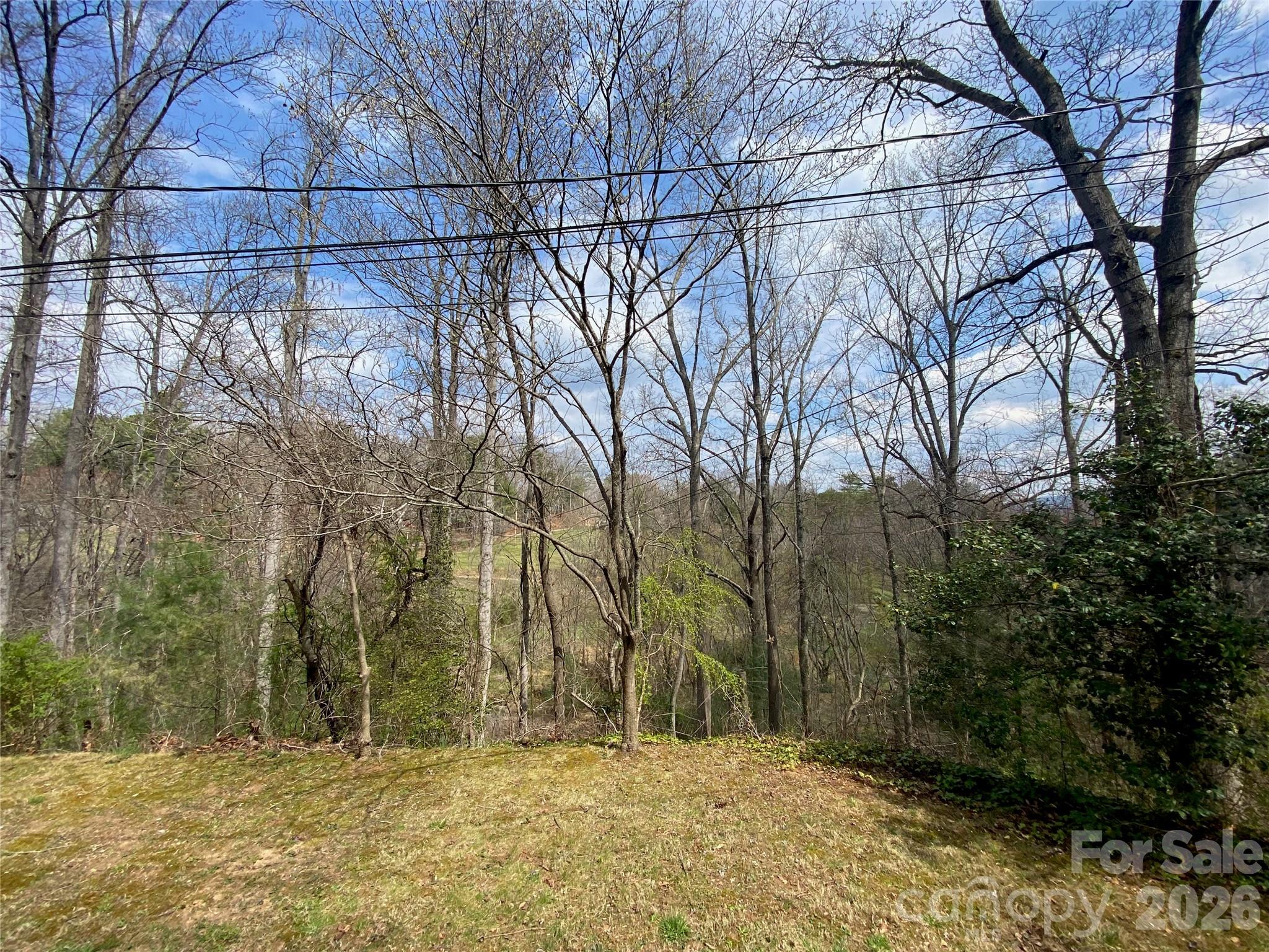 23 Old Farm School Road Asheville, NC 28805 - Photo 10 of 28