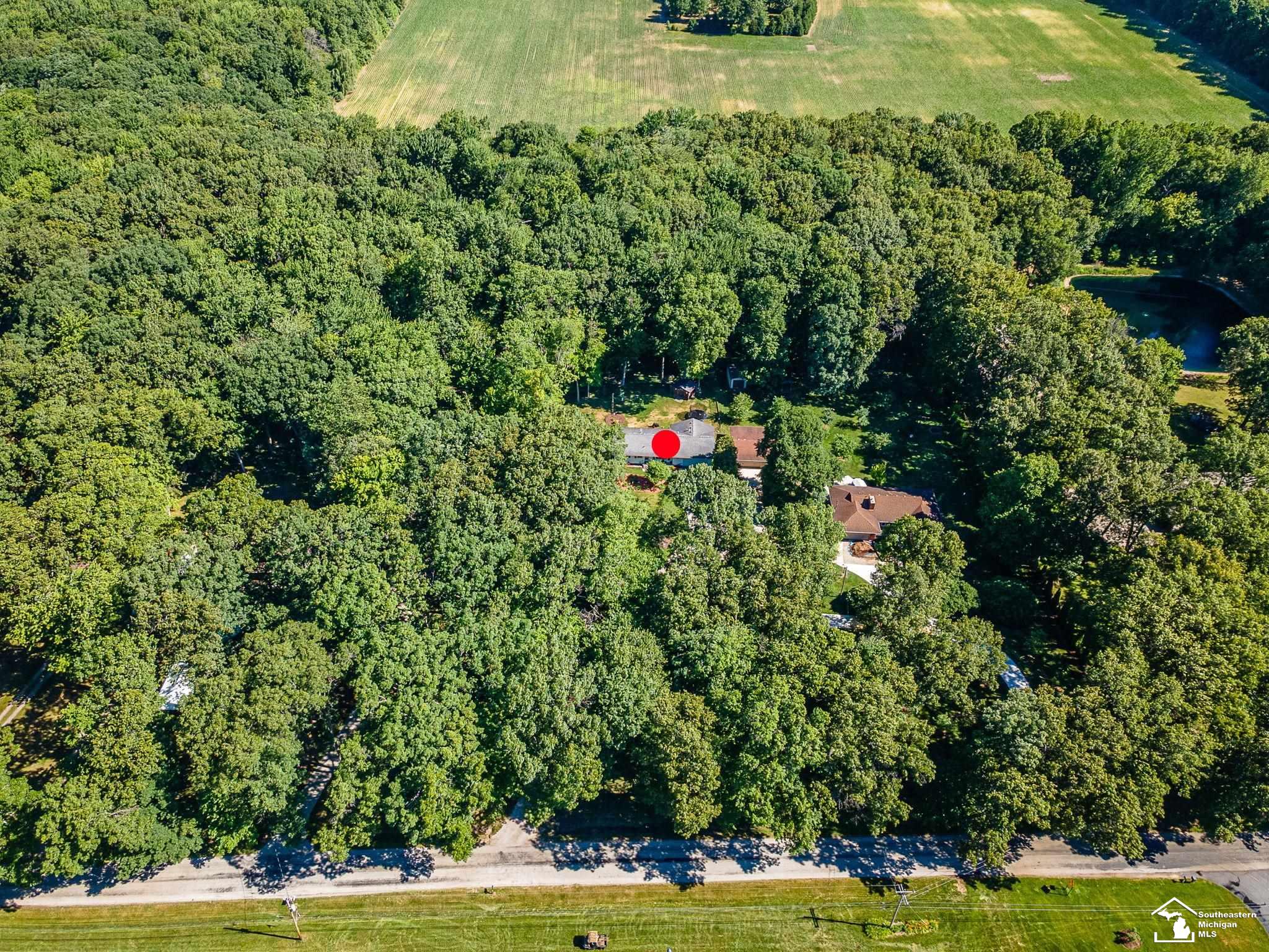 4496 School Road Temperance, MI 48182 - Photo 42 of 48