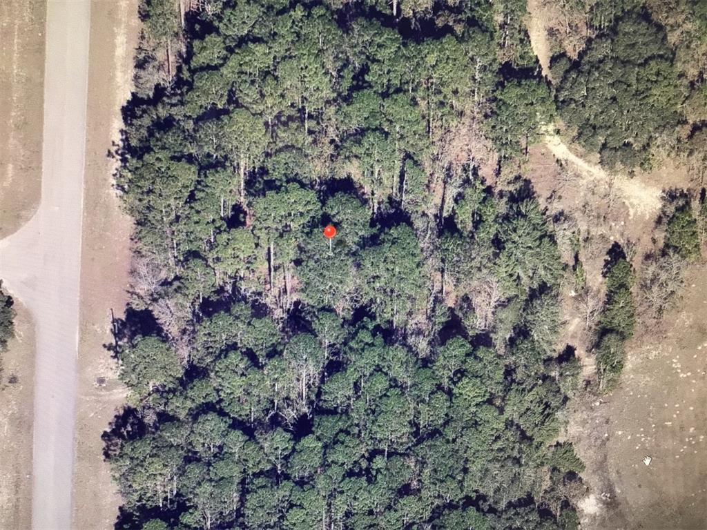 0 Southwest 64th Terrace Road Ocala, FL 34473 - Photo 5 of 5