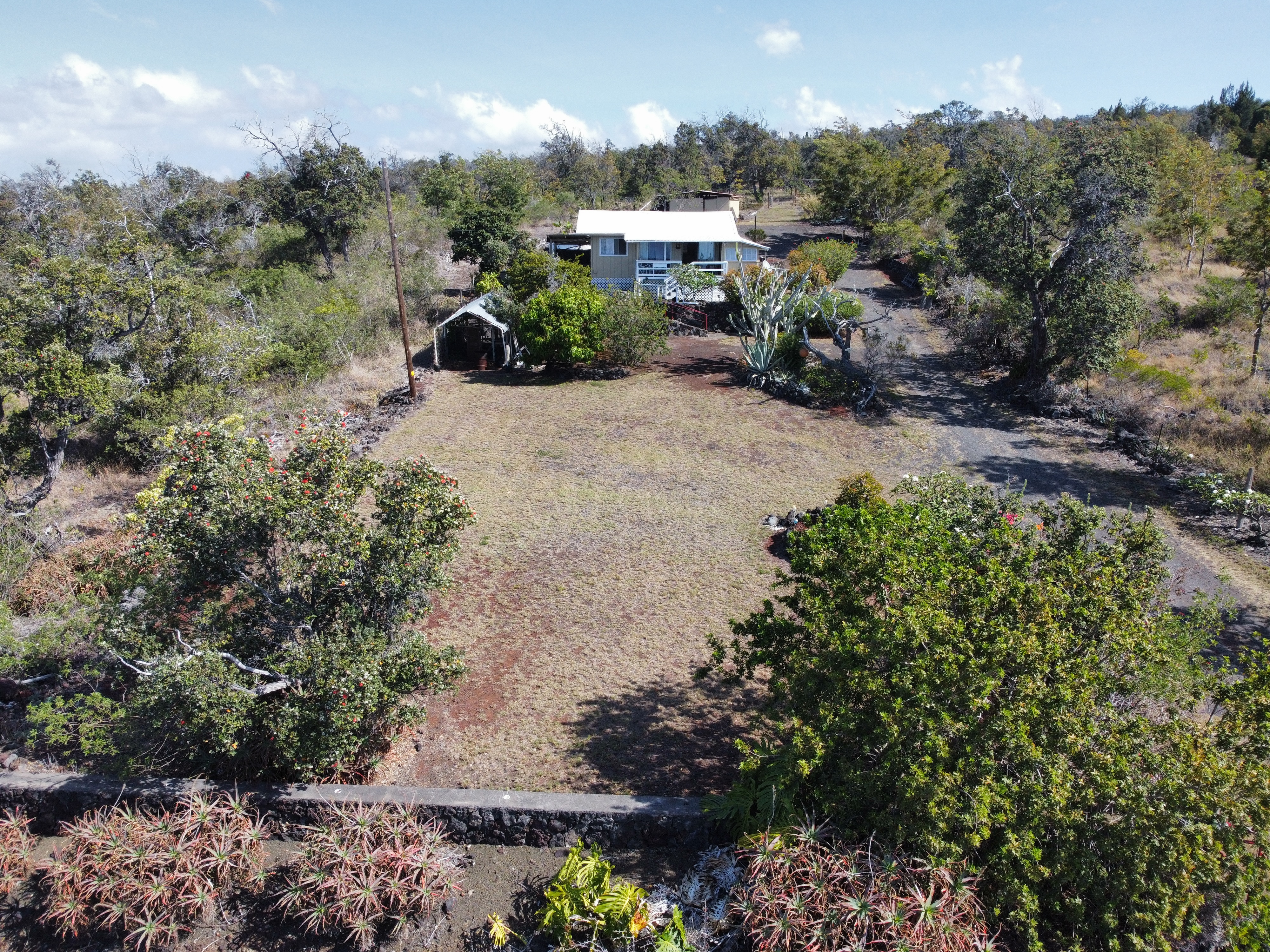 92-1663 Keaka Parkway Ocean View, HI 96704 - Photo 11 of 30 a view of a garden with potted plants and large trees