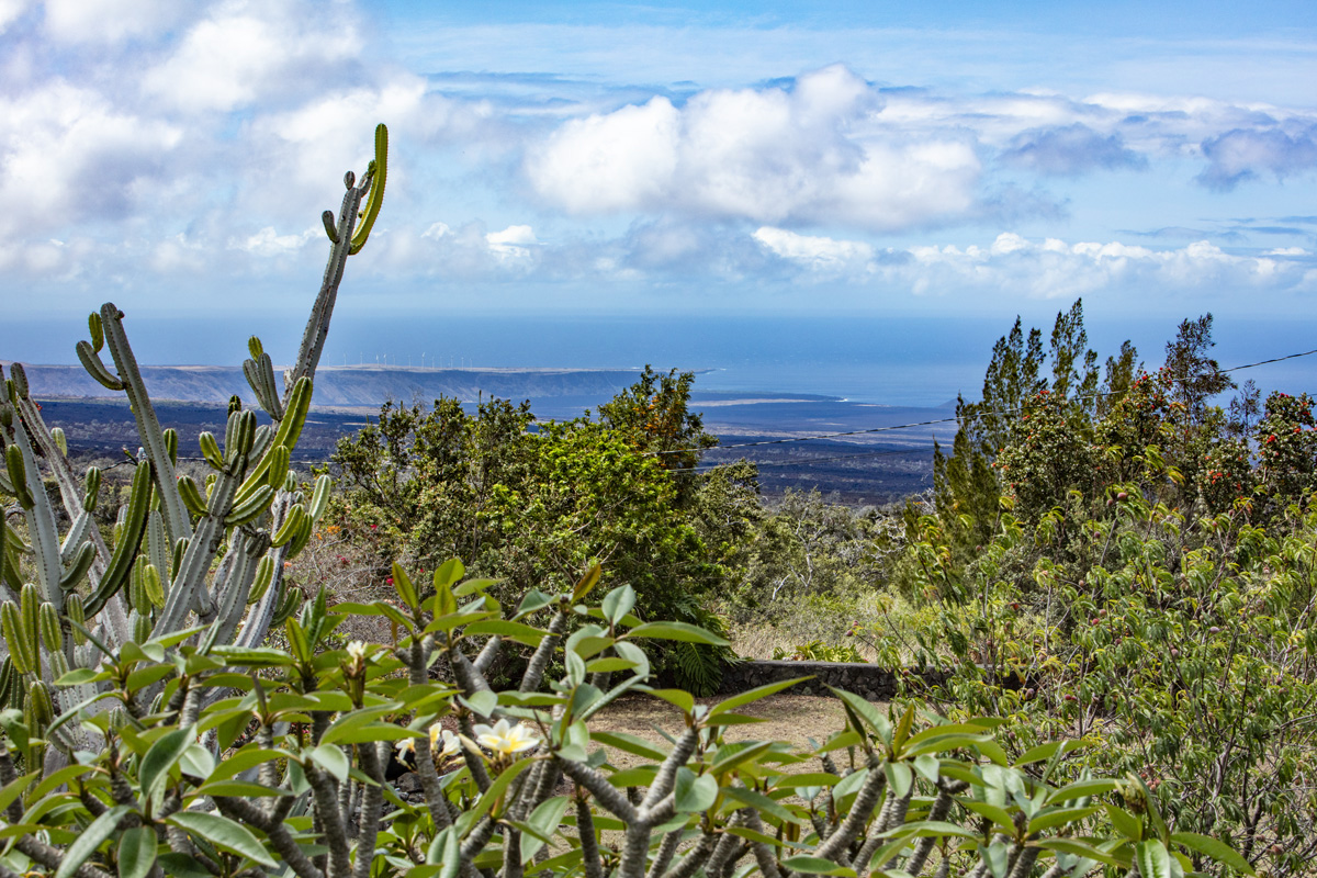 92-1663 Keaka Parkway Ocean View, HI 96704 - Photo 2 of 30 a view of a bunch of trees