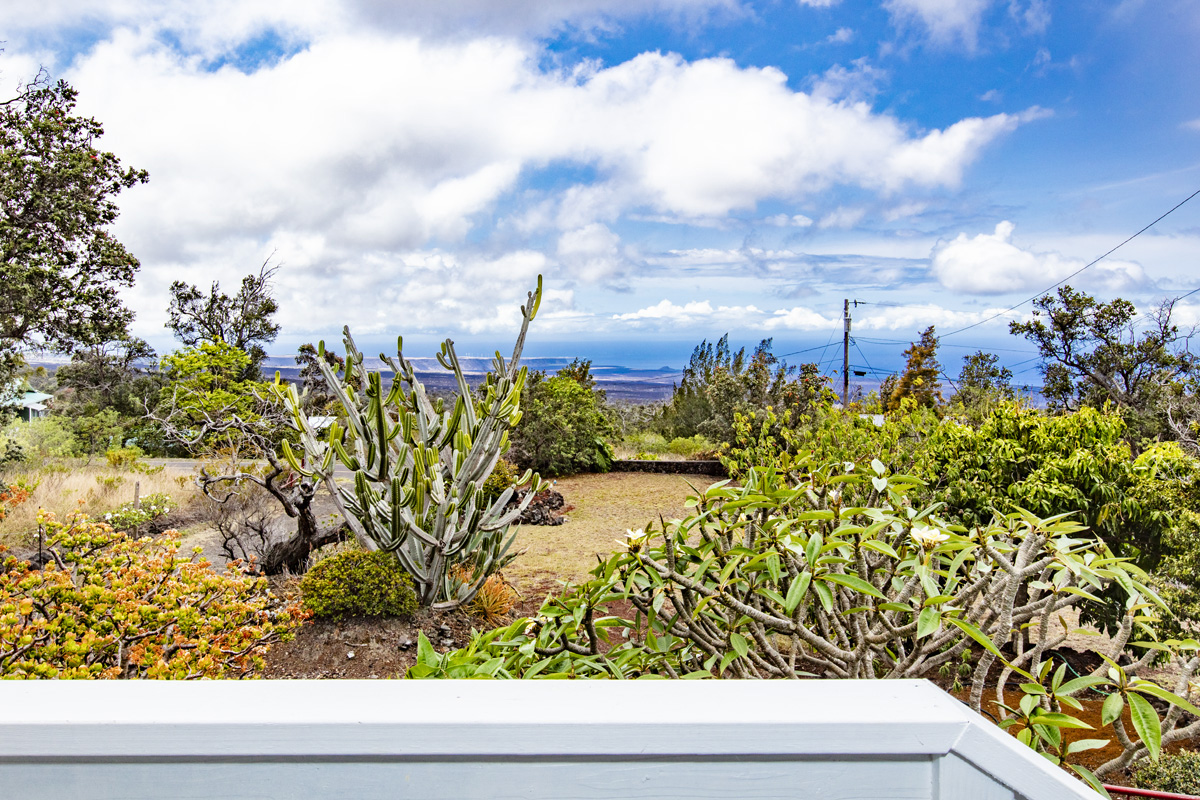 92-1663 Keaka Parkway Ocean View, HI 96704 - Photo 4 of 30 a view of a garden with plants