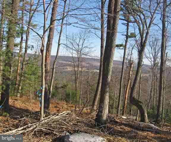 Lot 1 Bottom Road Orrtanna, PA 17353 - Photo 4 of 12 Gallery Image 4