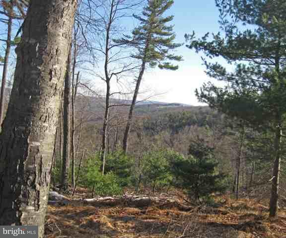 Lot 1 Bottom Road Orrtanna, PA 17353 - Photo 5 of 12 Gallery Image 5