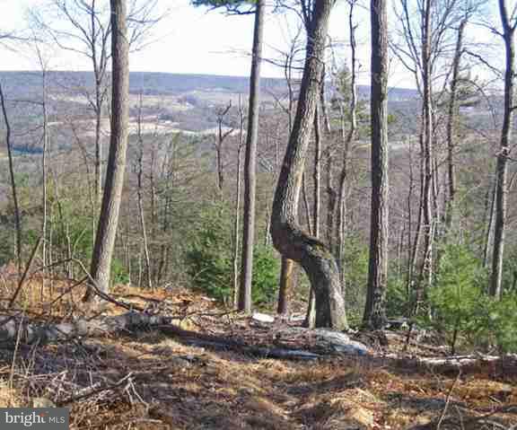 Lot 1 Bottom Road Orrtanna, PA 17353 - Photo 6 of 12 Gallery Image 6